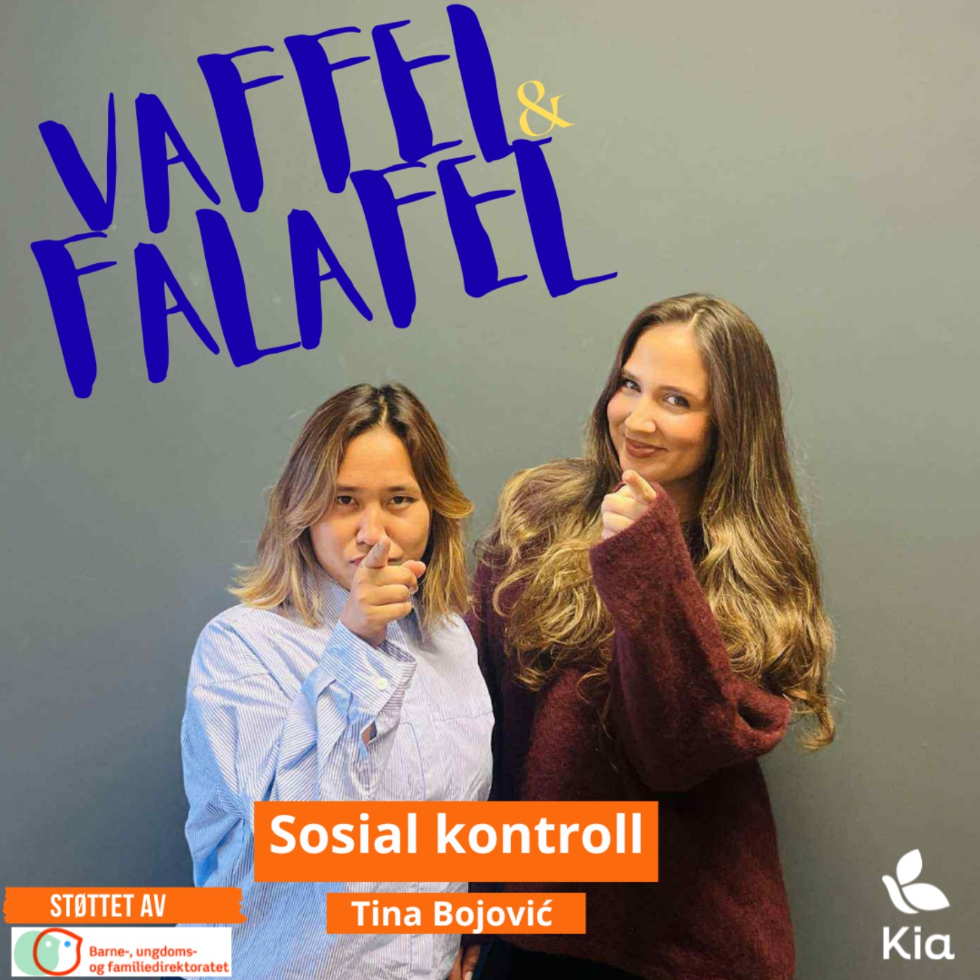 Sosial kontroll eller bare press?
