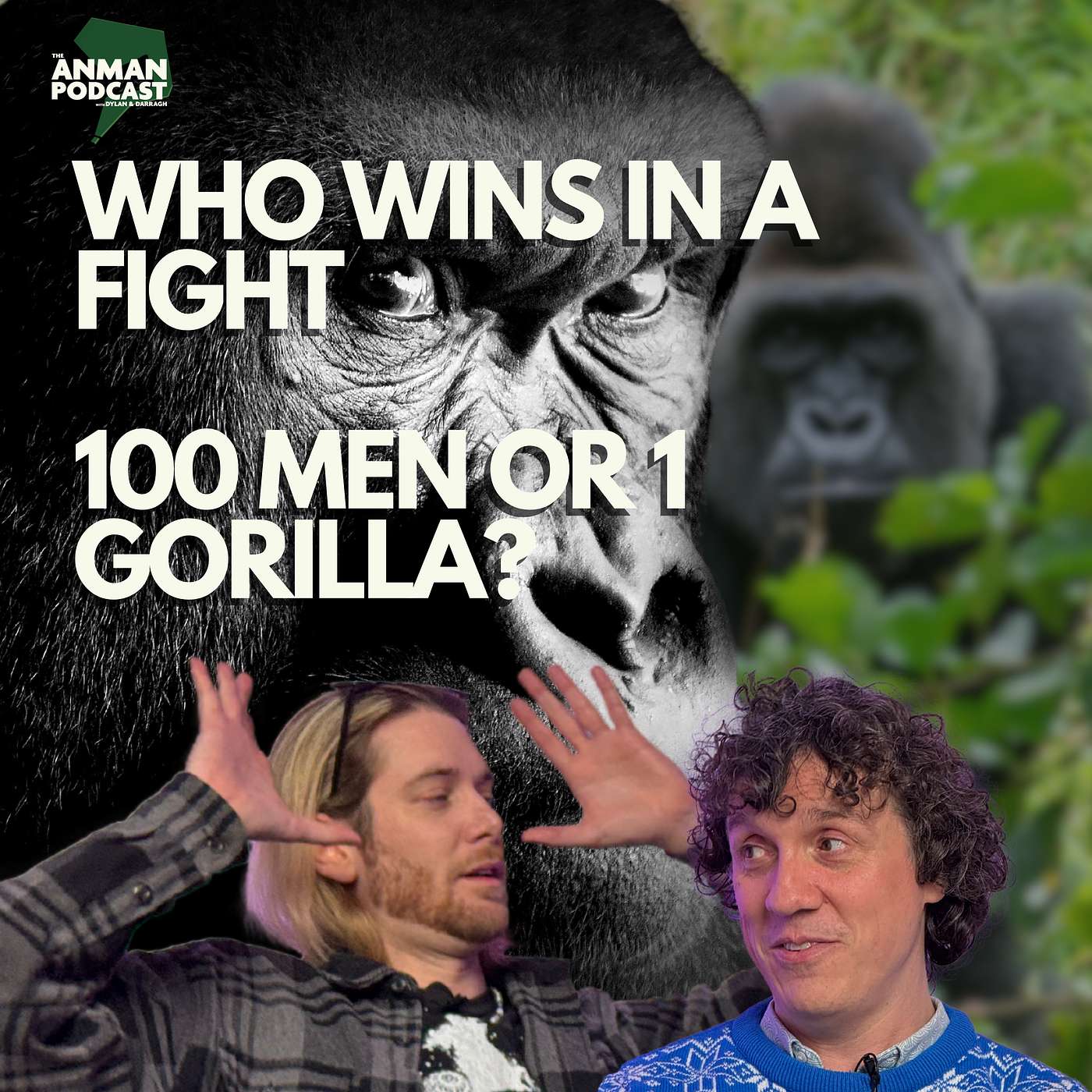 🥊 What Happens If 100 Men Fight 1 Gorilla? | ANMAN Bonus Debate
