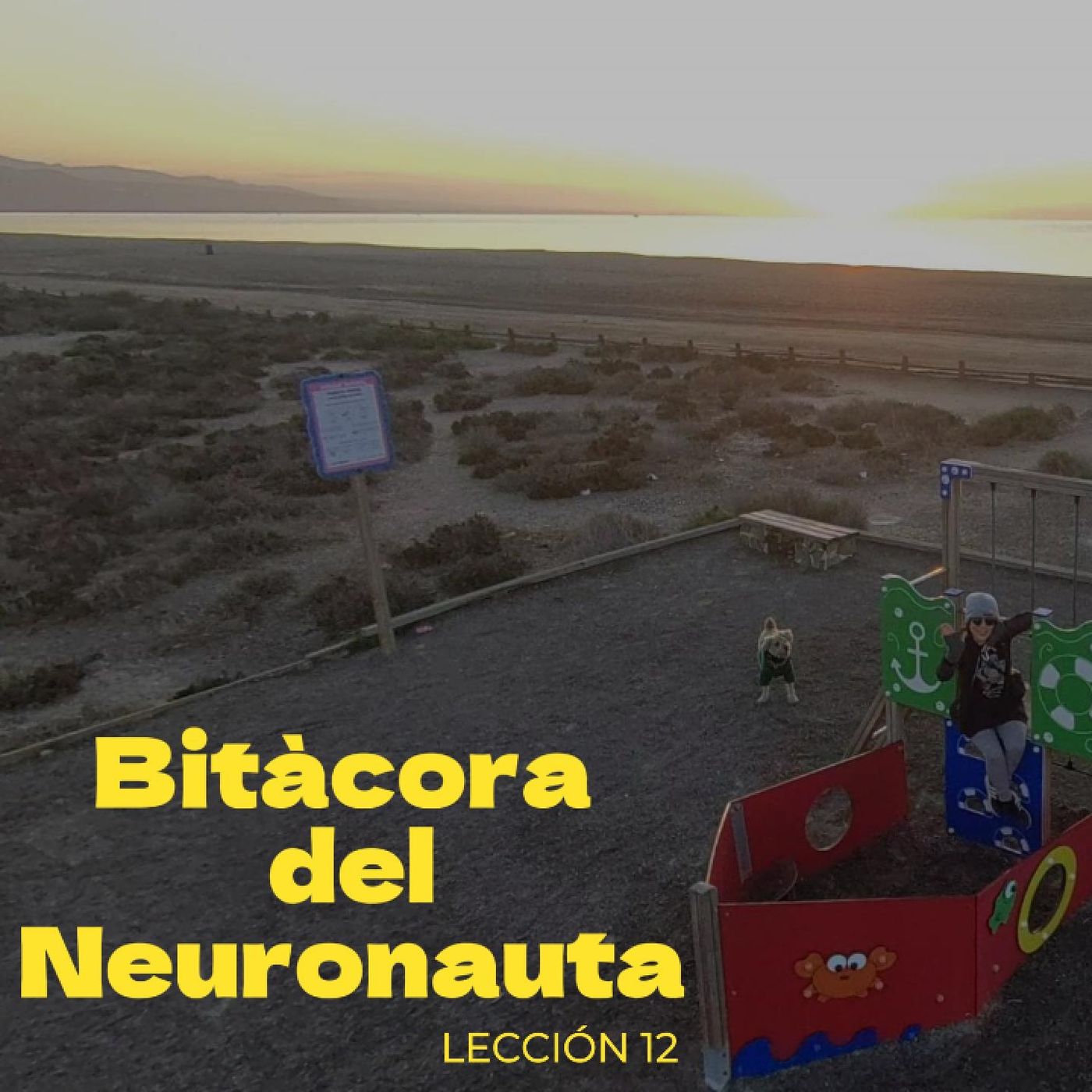 ๐โจ Bitรกcora del Neuronauta -Lecciรณn 12  Drama-free zone activated. ๐๐
 ๐โจ Bitรกcora del Neuronauta -Lecciรณn 12  Drama-free zone activated. ๐๐