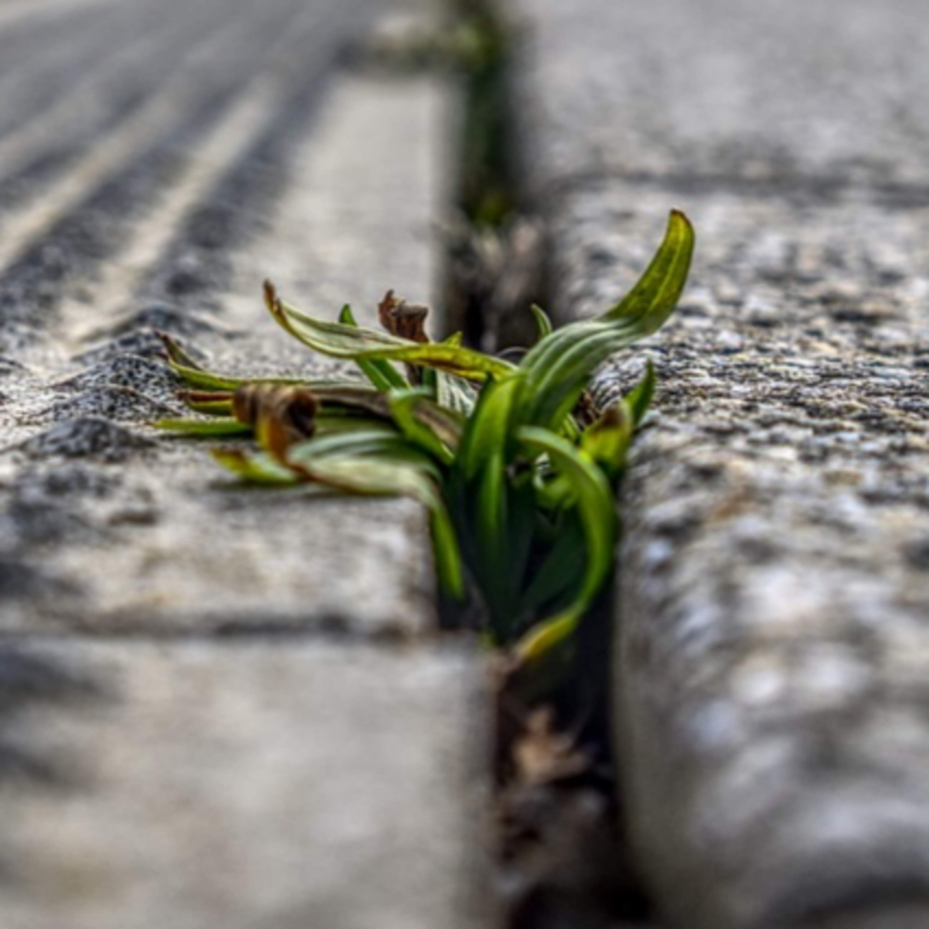 Weeding Through Dating Profiles (Ask Your Dating Expert Suzie)