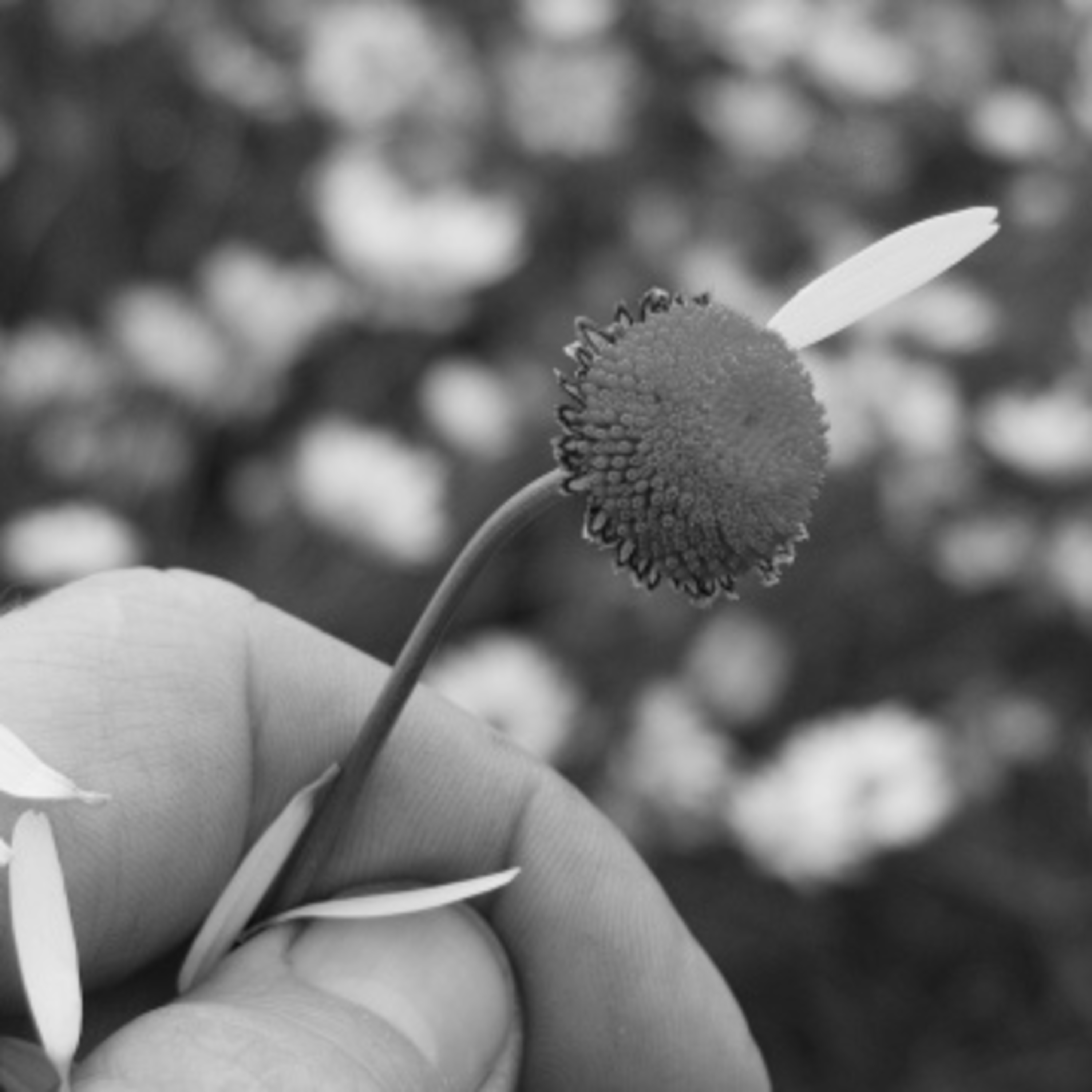 What are signs that they like you? Suzie The Dating Diva Oct 1, 2021