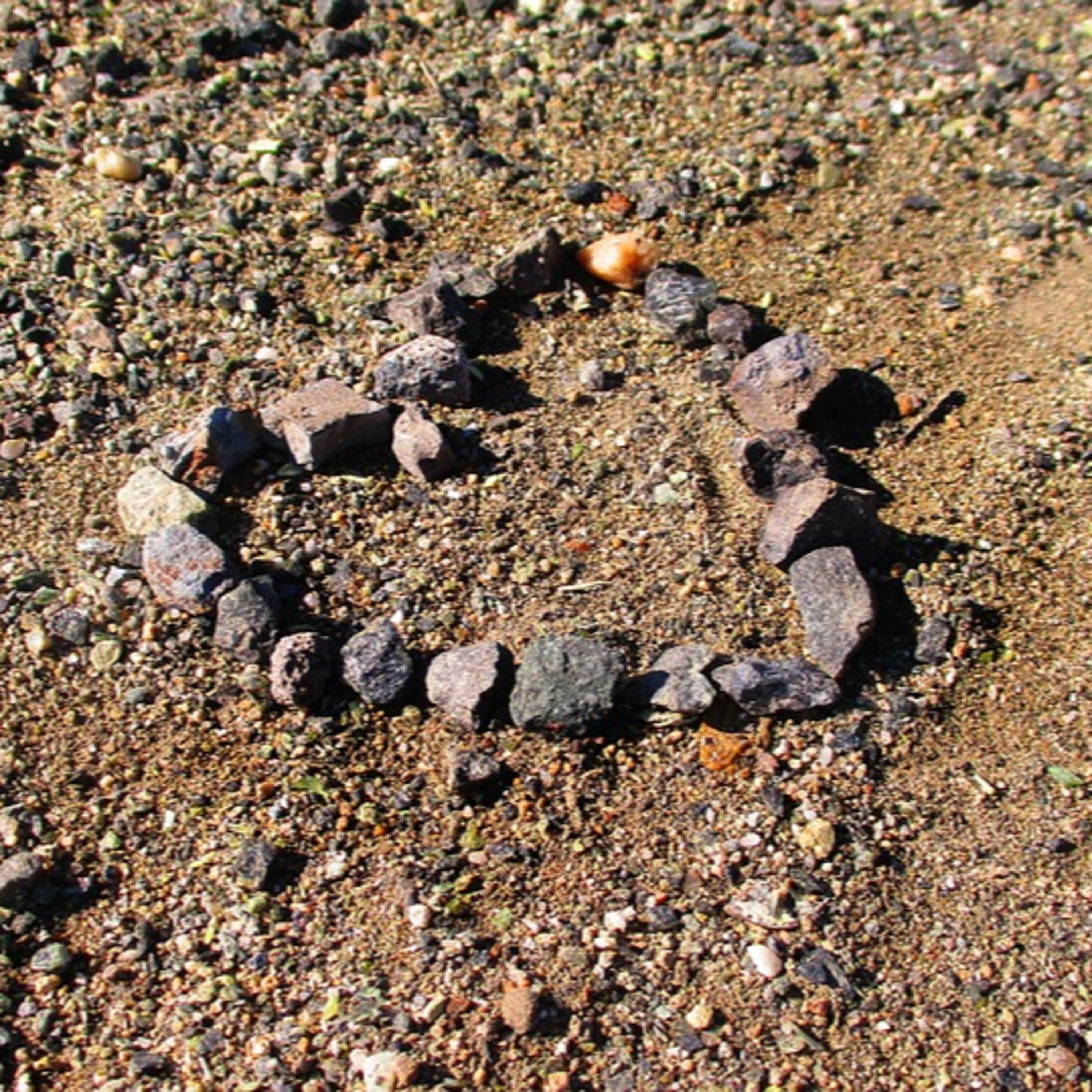 How to Woo Someone (Ask Your Dating Expert Suzie)