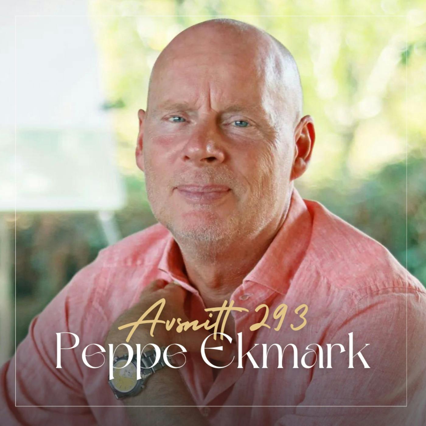 293. Peppe Ekmark - Så förvandlar du drömmar till uppnåeliga mål episode artwork