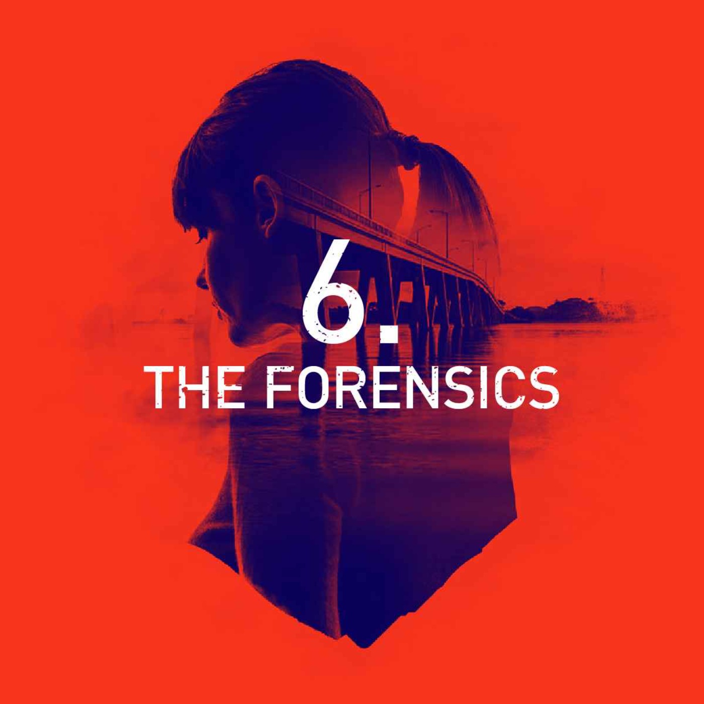 Episode 6: The Forensics