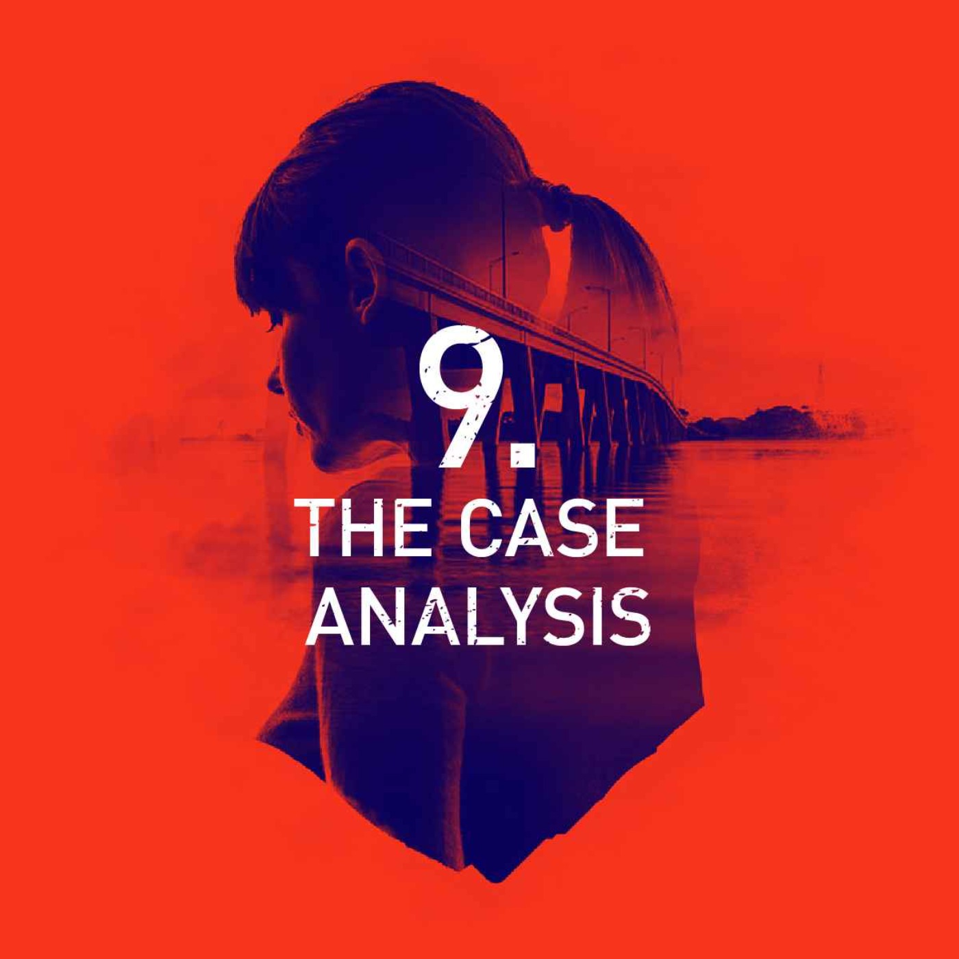 Episode 9: The Case Analysis