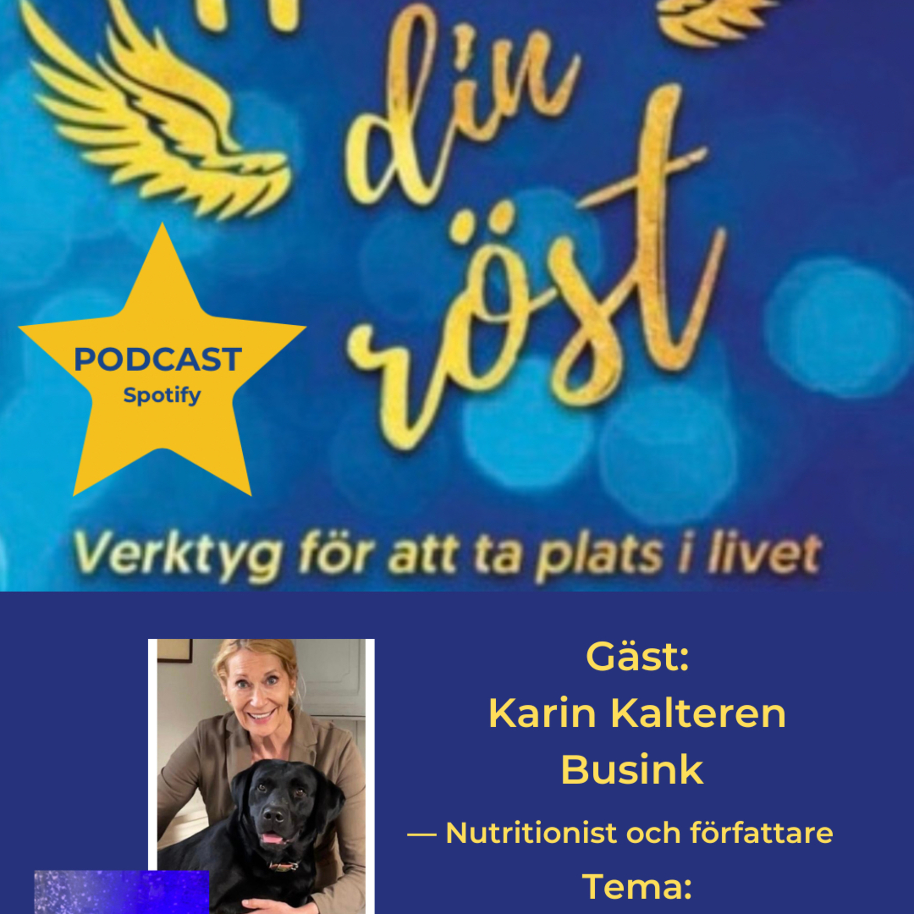 41. Tema: Vad varje kvinna 40+ behöver veta. Gäst: Karin Kalteren Busink episode artwork