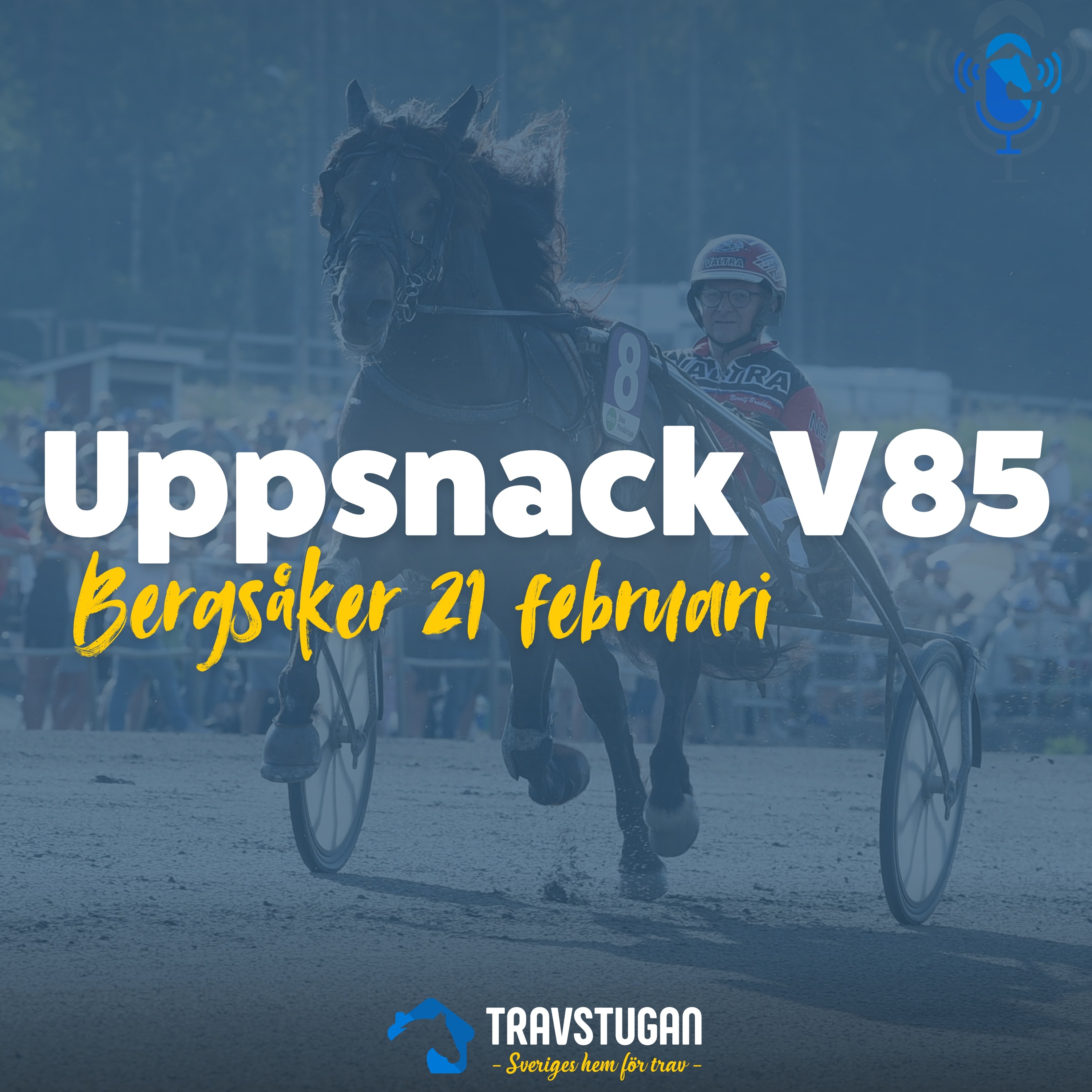 Bergsåker 21 februari: "Två ton i varje töm" | Uppsnack V85 episode artwork