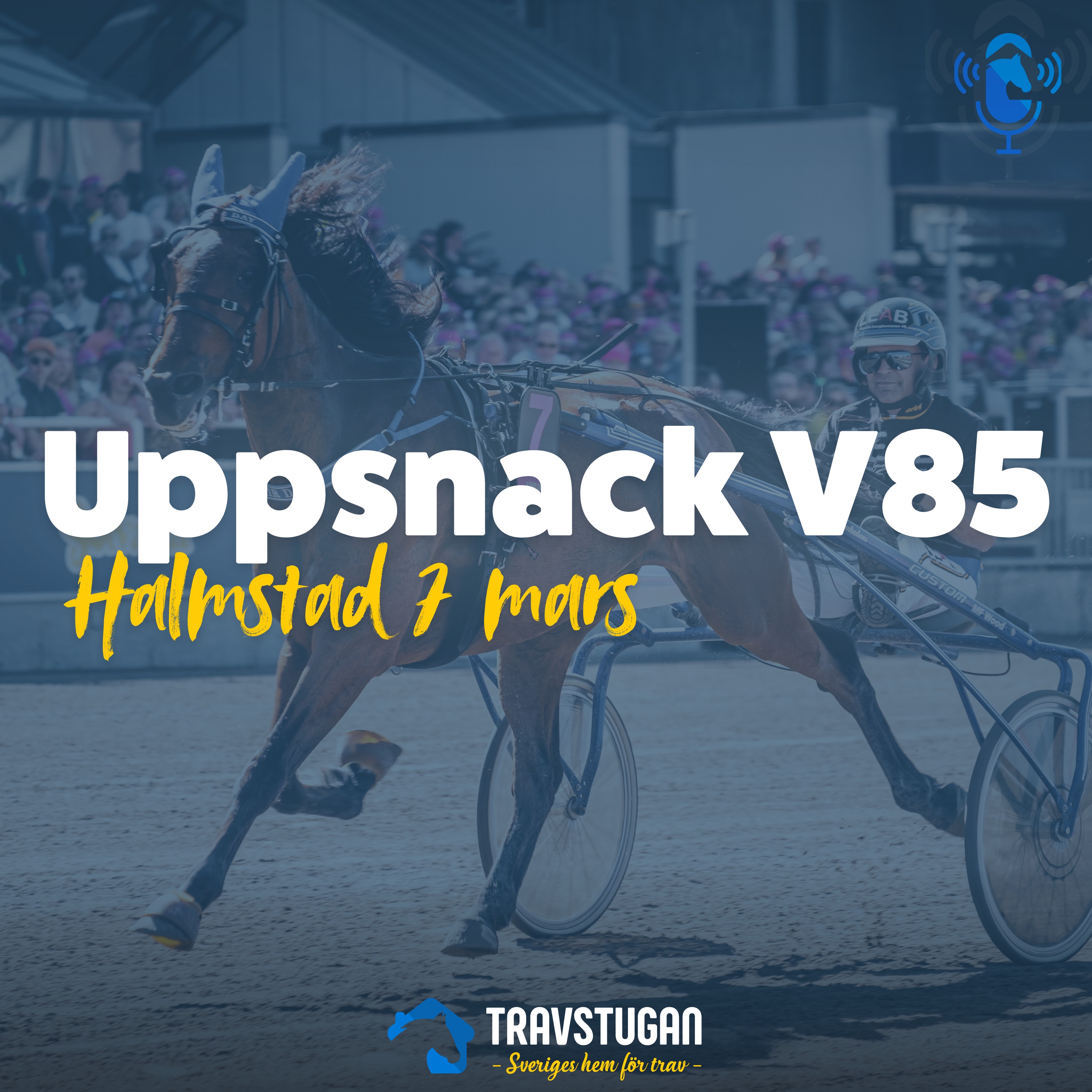 V85 Halmstad 7 mars: Barfotapremiär! | Uppsnack V85 episode artwork