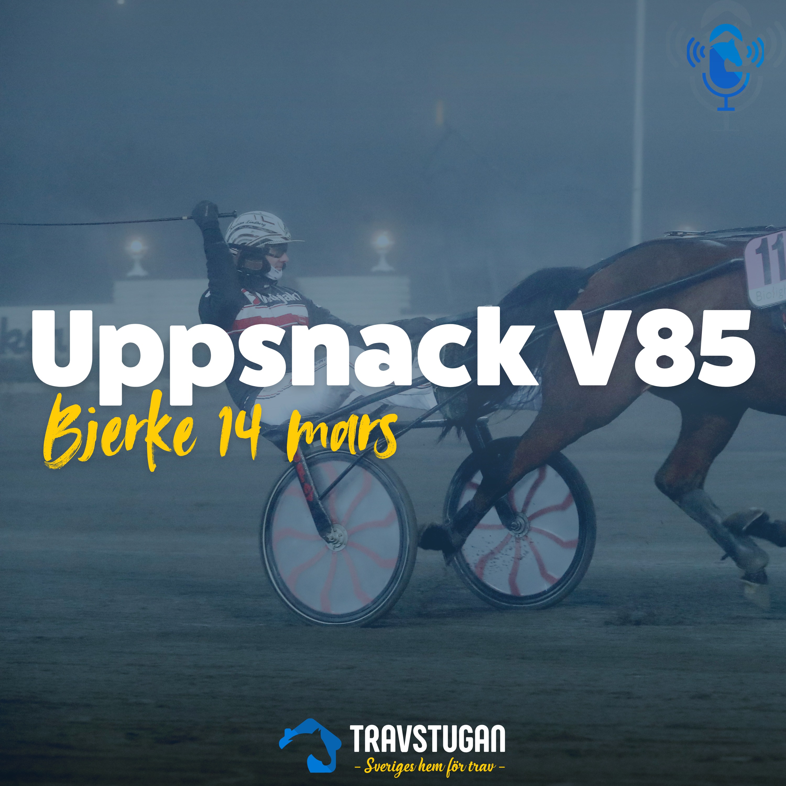 V85 Bjerke 14 mars: "Nästan 100% vinstchans" | Uppsnack V85 episode artwork