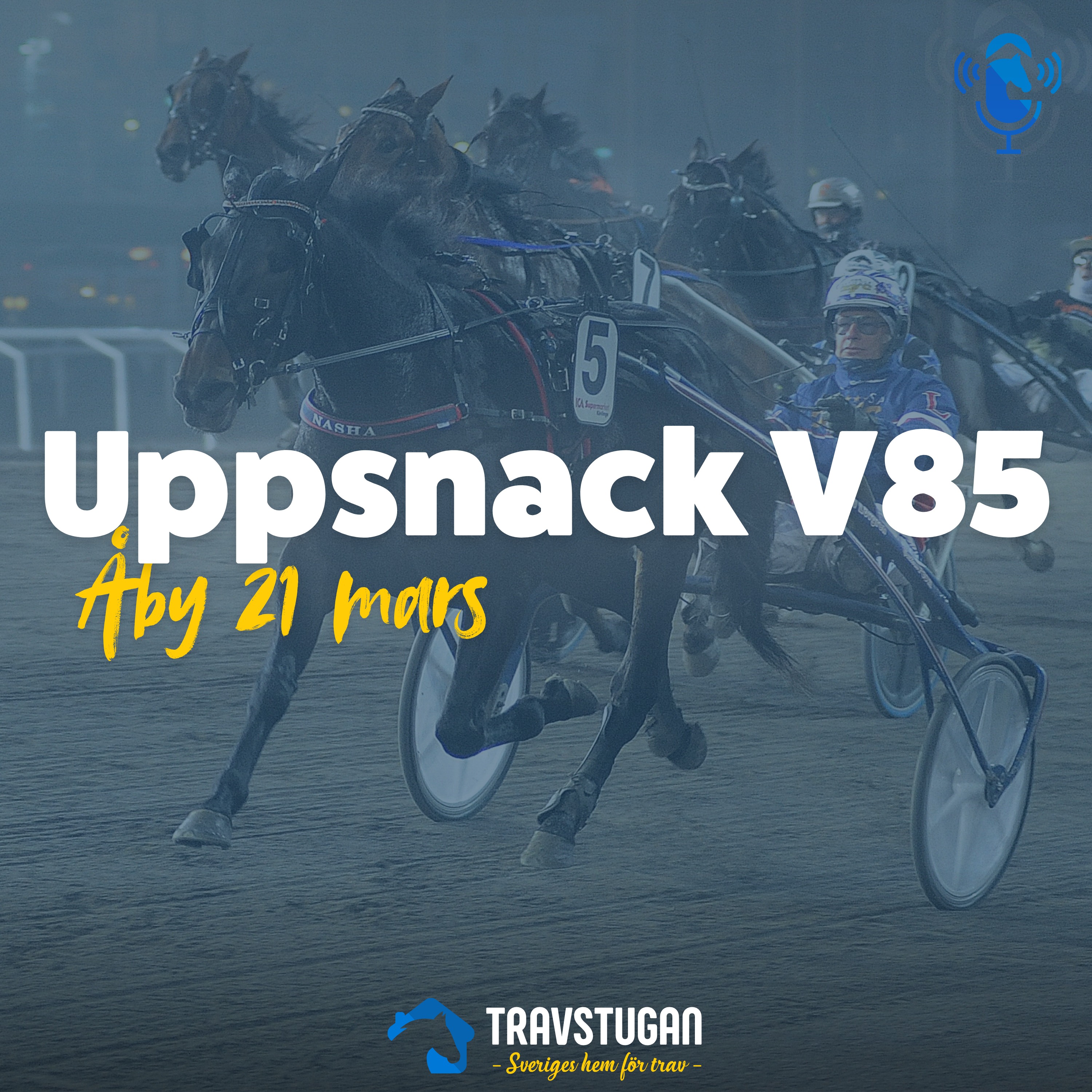 V85 Åby 21 mars: "Stallskriket från stallbacken" | Uppsnack V85 episode artwork