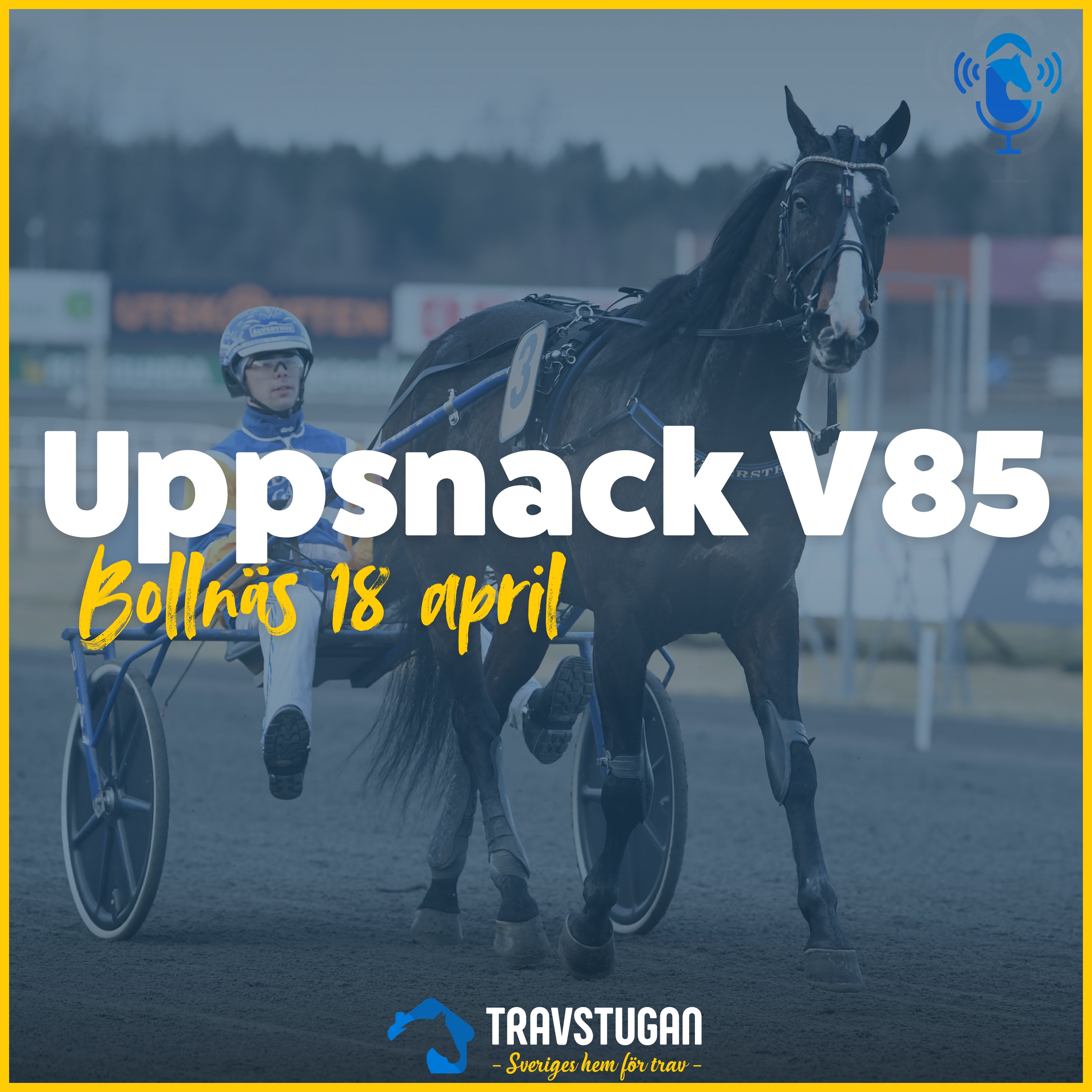 V85 Bollnäs 18 april – "Han kan spetsa med en kamel"  | Uppsnack V85 episode artwork
