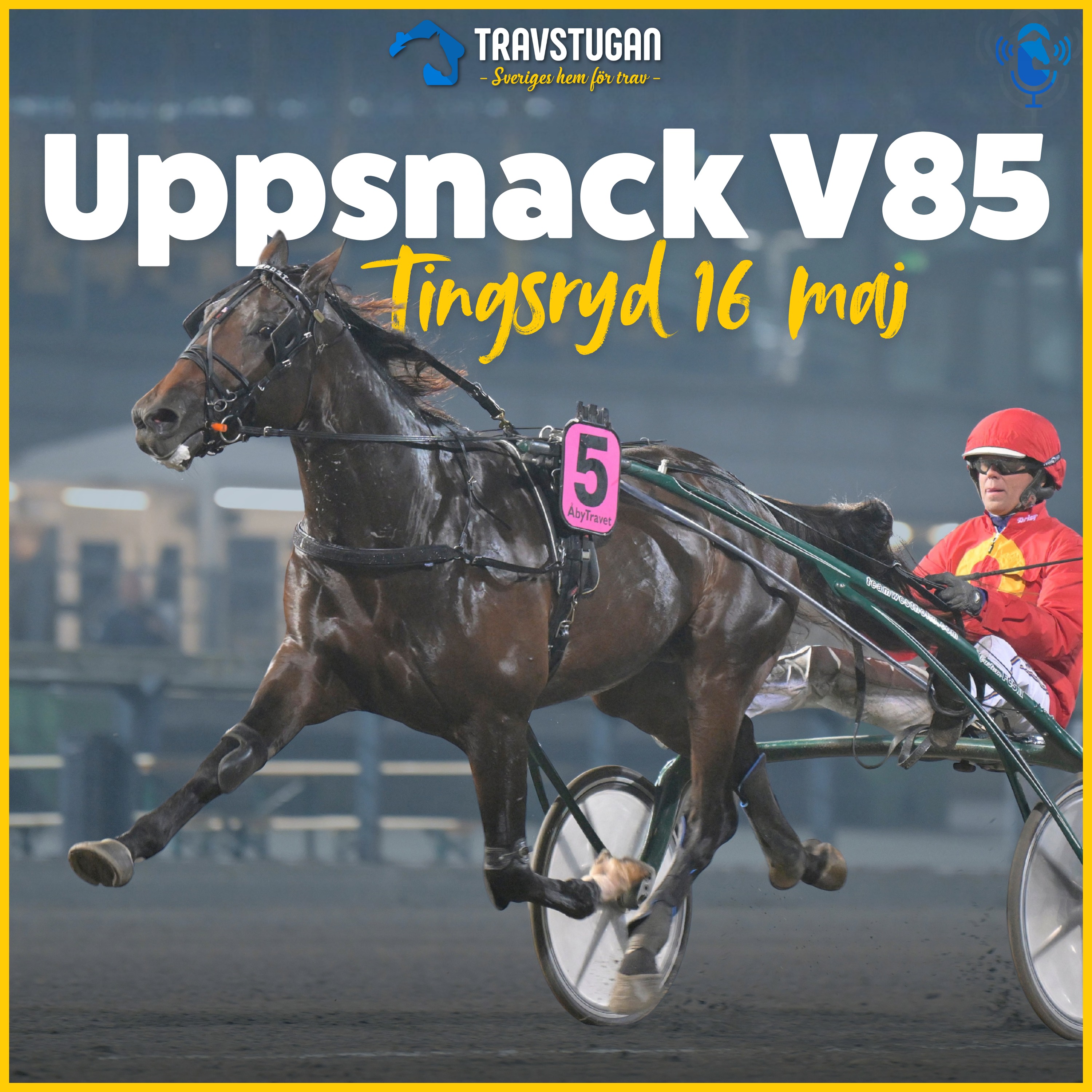 V85 Tingsryd 16 maj – "Han slår A Fair Day från dödens"  | Uppsnack V85 episode artwork