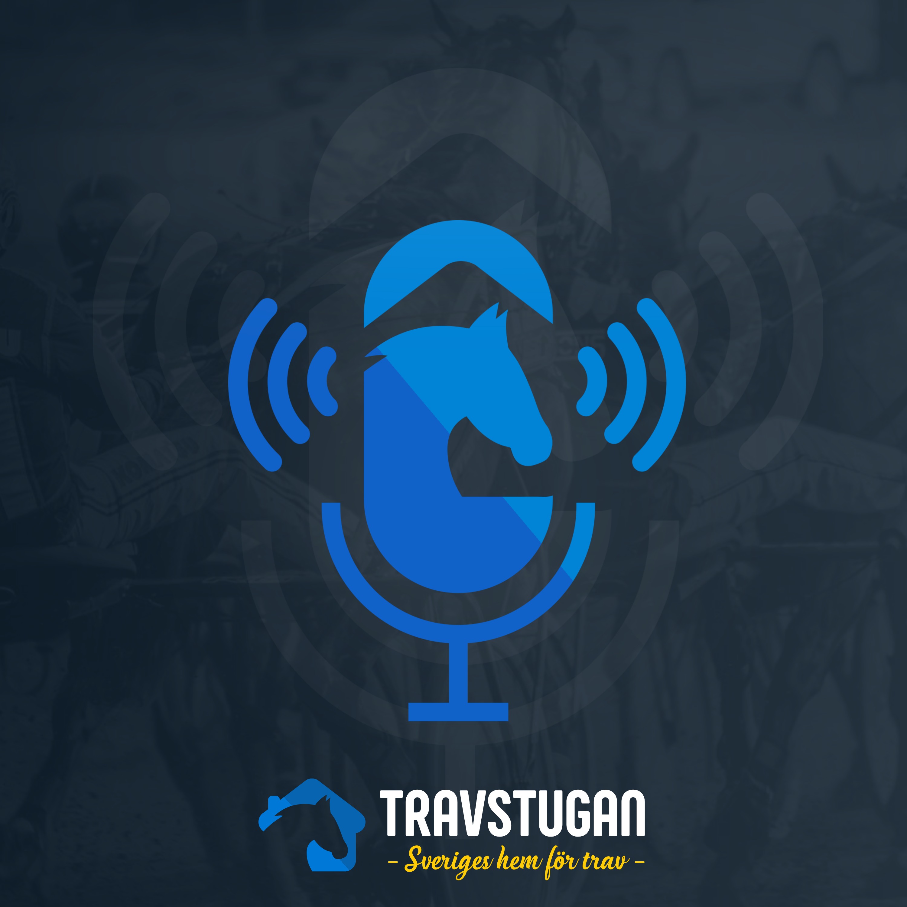 Podcast Image