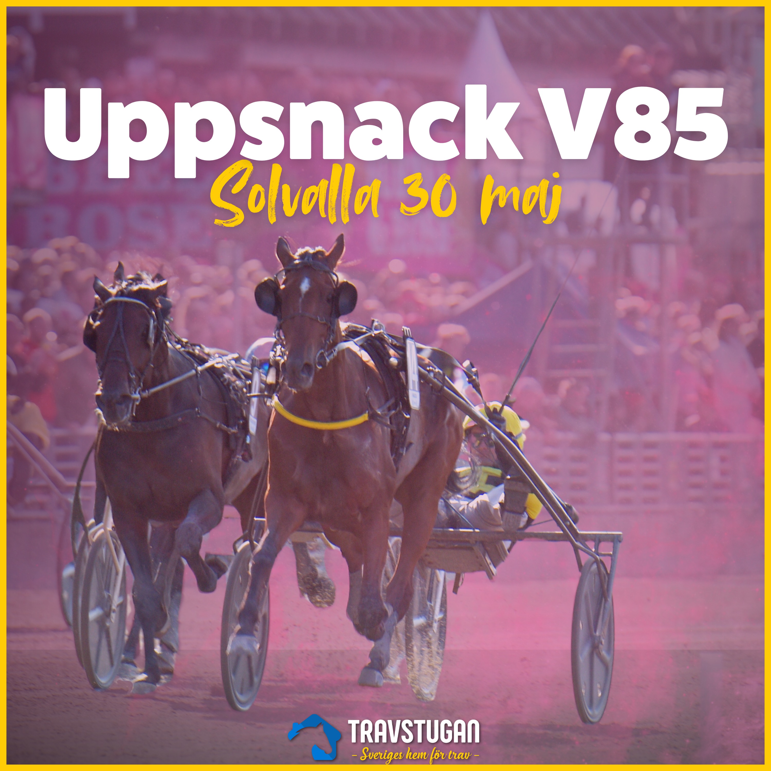 V85 Elitloppslördagen 30 maj – "Så länge han inte fastnar i bastun" | Uppsnack V85 episode artwork