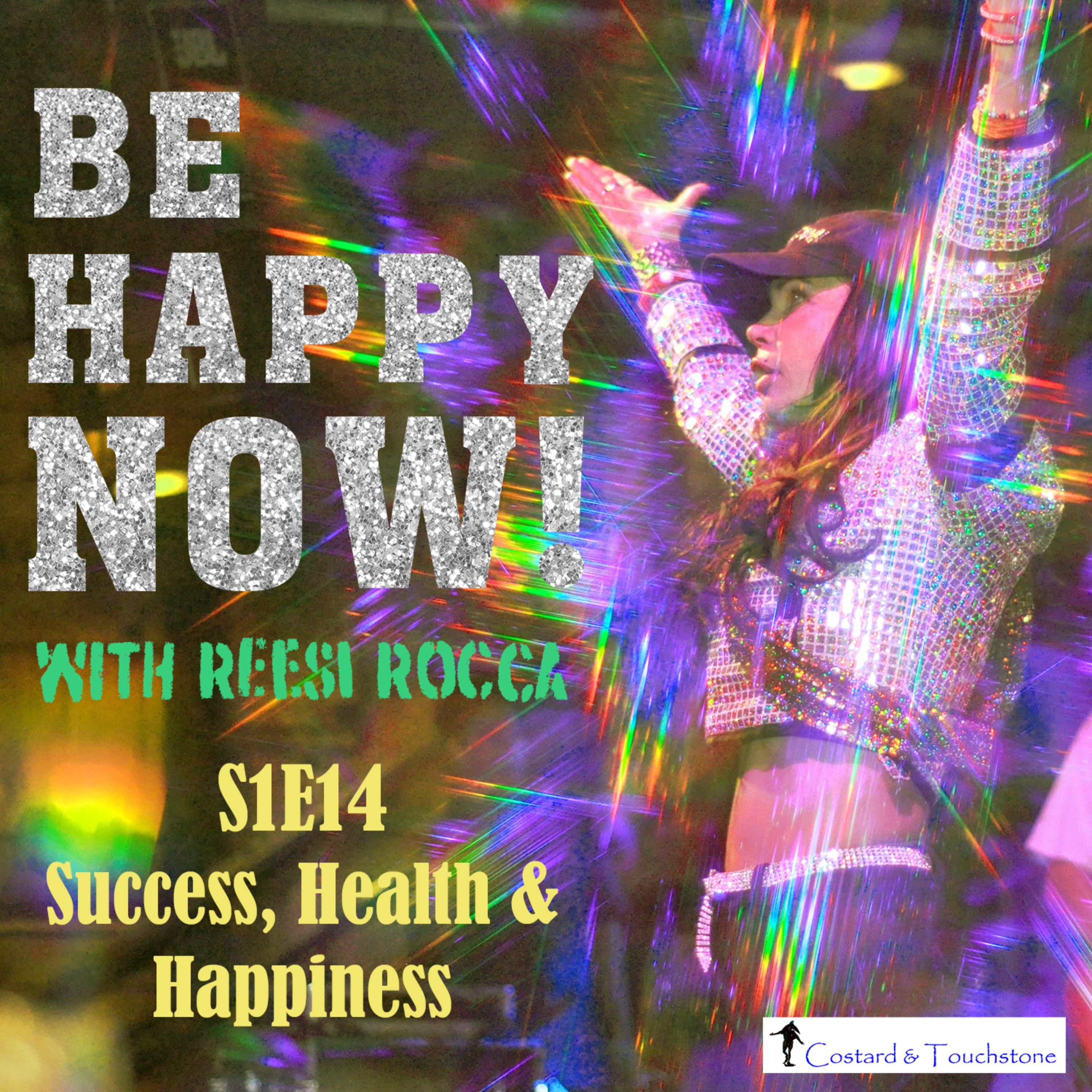 S1E14 Success, Health & Happiness episode artwork