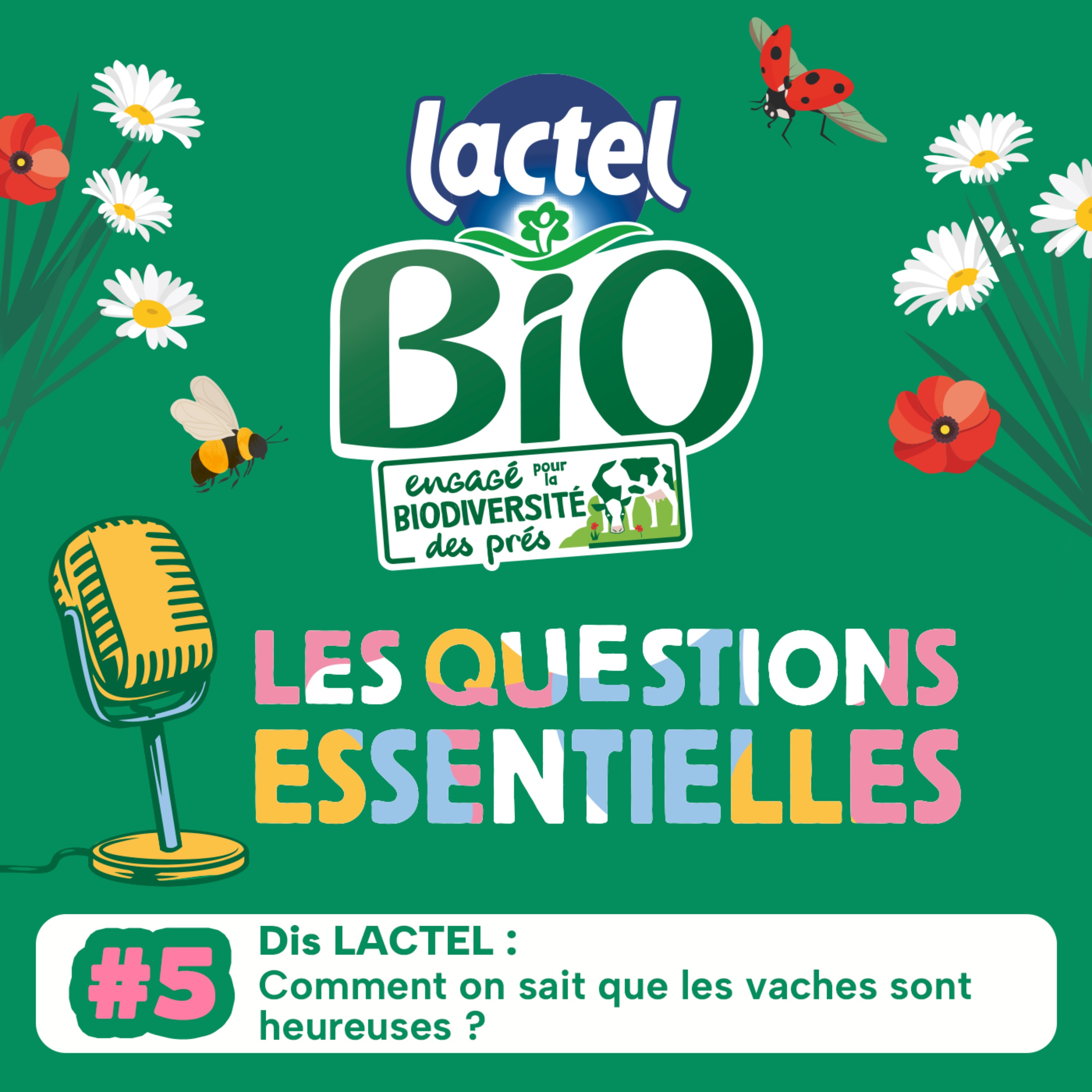 📣 Bliss Stories présente Les Questions Essentielles - Dis LACTEL : Comment on sait que les vaches sont heureuses ?