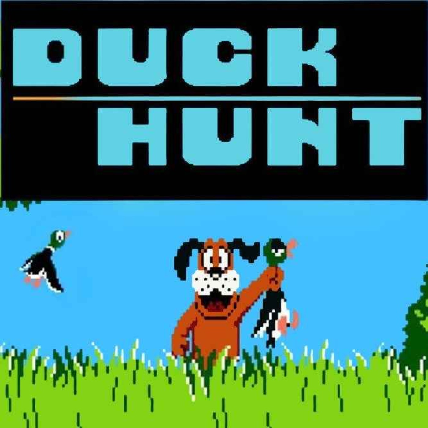 26. Duck Hunt