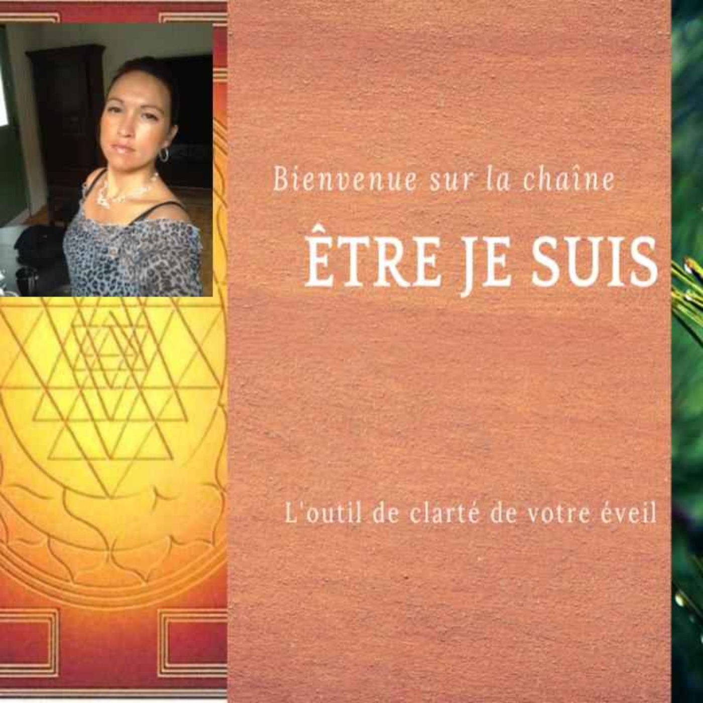 Révolte ou rébellion