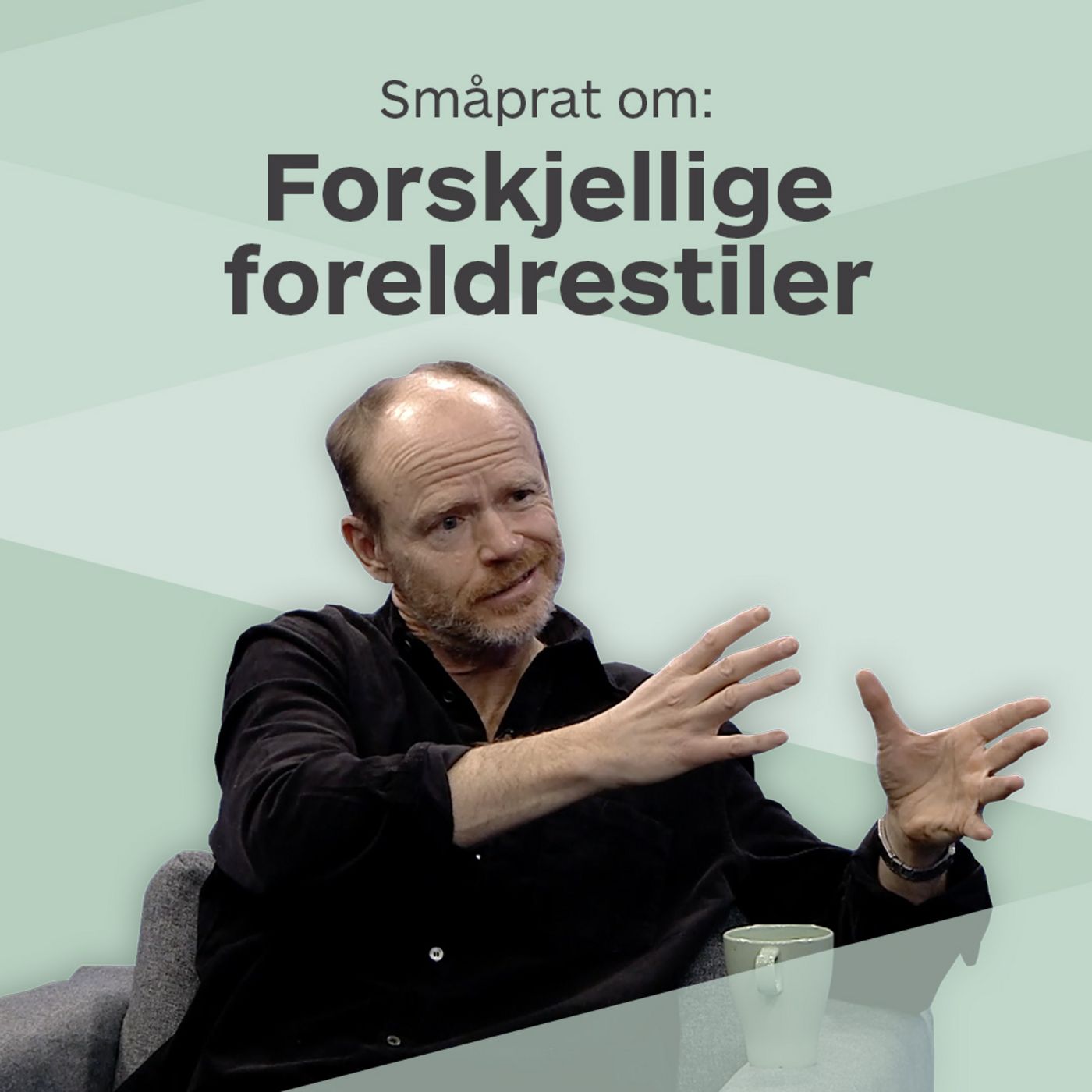 Småprat om forskjellige foreldrestiler Småprat om forskjellige foreldrestiler