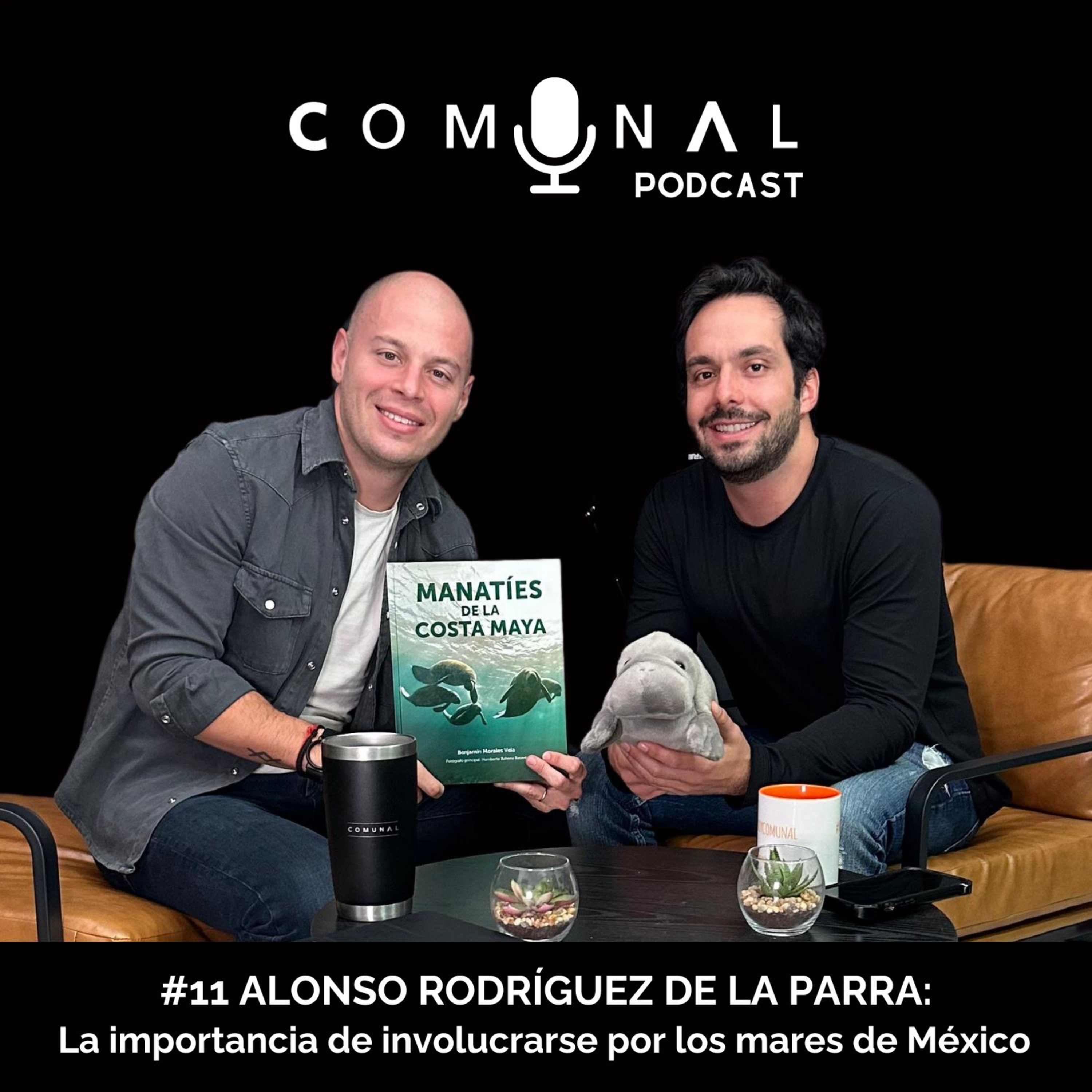 #11 ALONSO RODRÍGUEZ DE LA PARRA: La importancia de involucrarse por los mares de México episode artwork