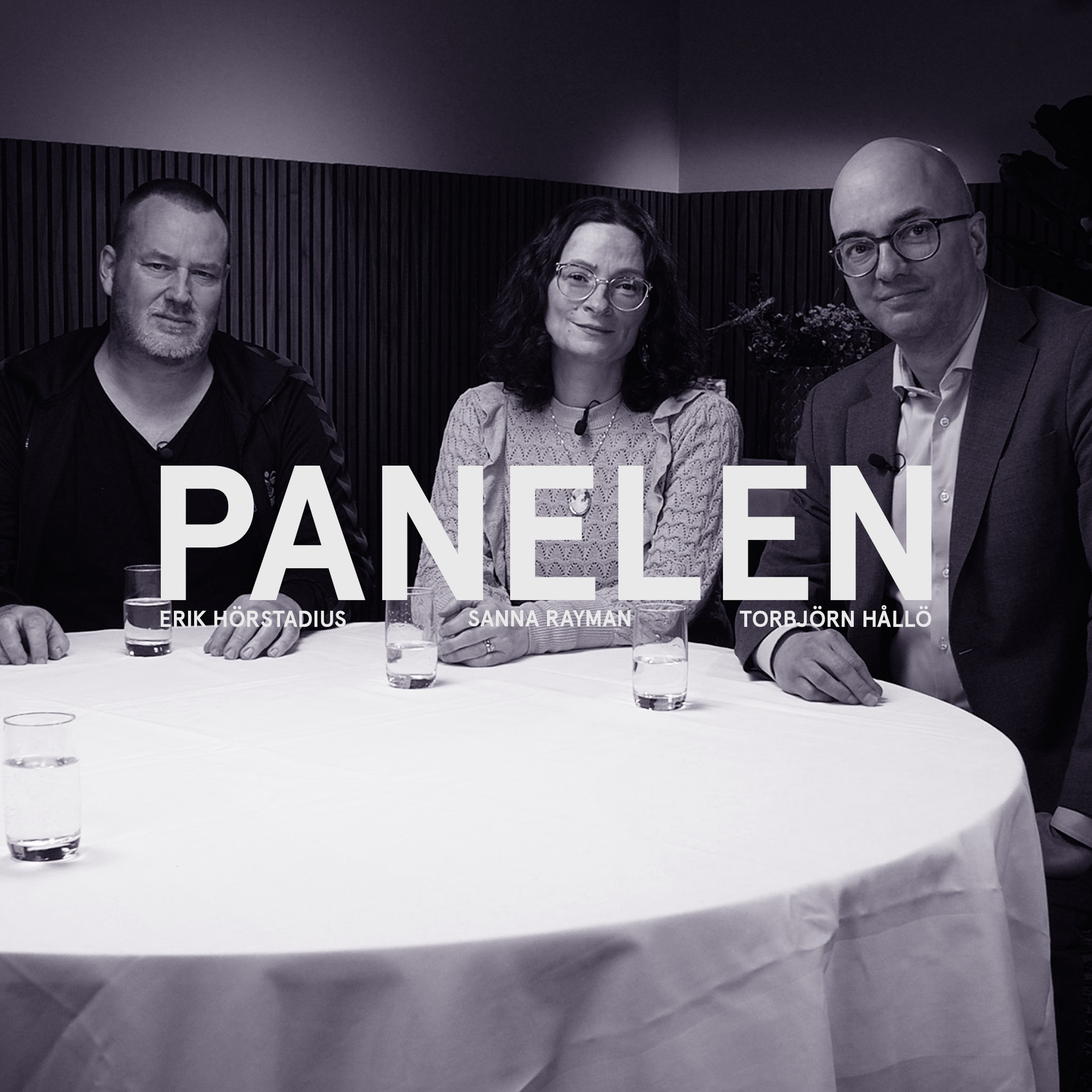 Podcastbild: 72. Panelen 2024 – Sanna Rayman: ”Ingen regering är förmögen att göra allt vad som krävs”