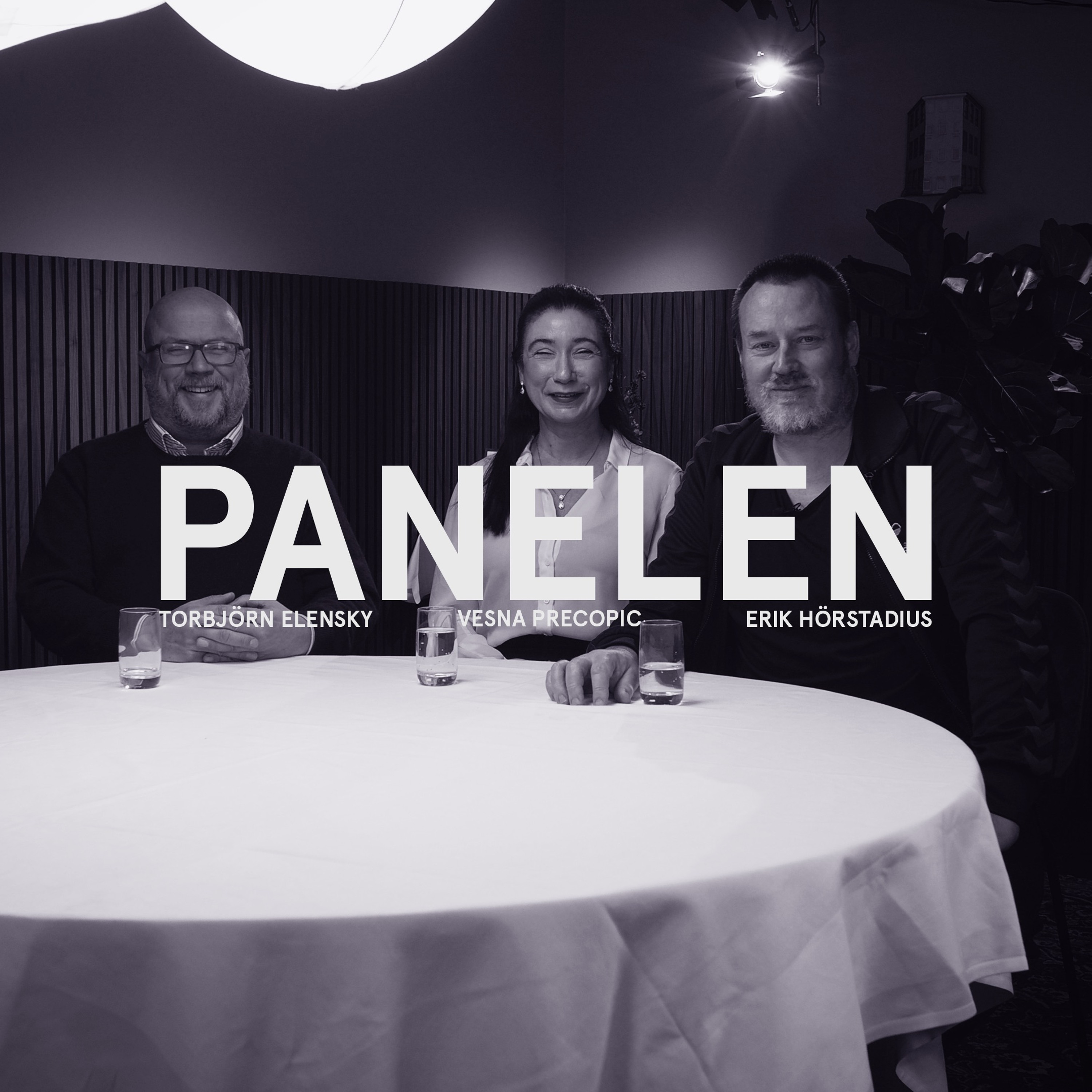 Podcastbild: 69. Panelen 2024 – Torbjörn Elensky om Sverige och LVU-kampanjen: ”Ett katastroftillstånd”