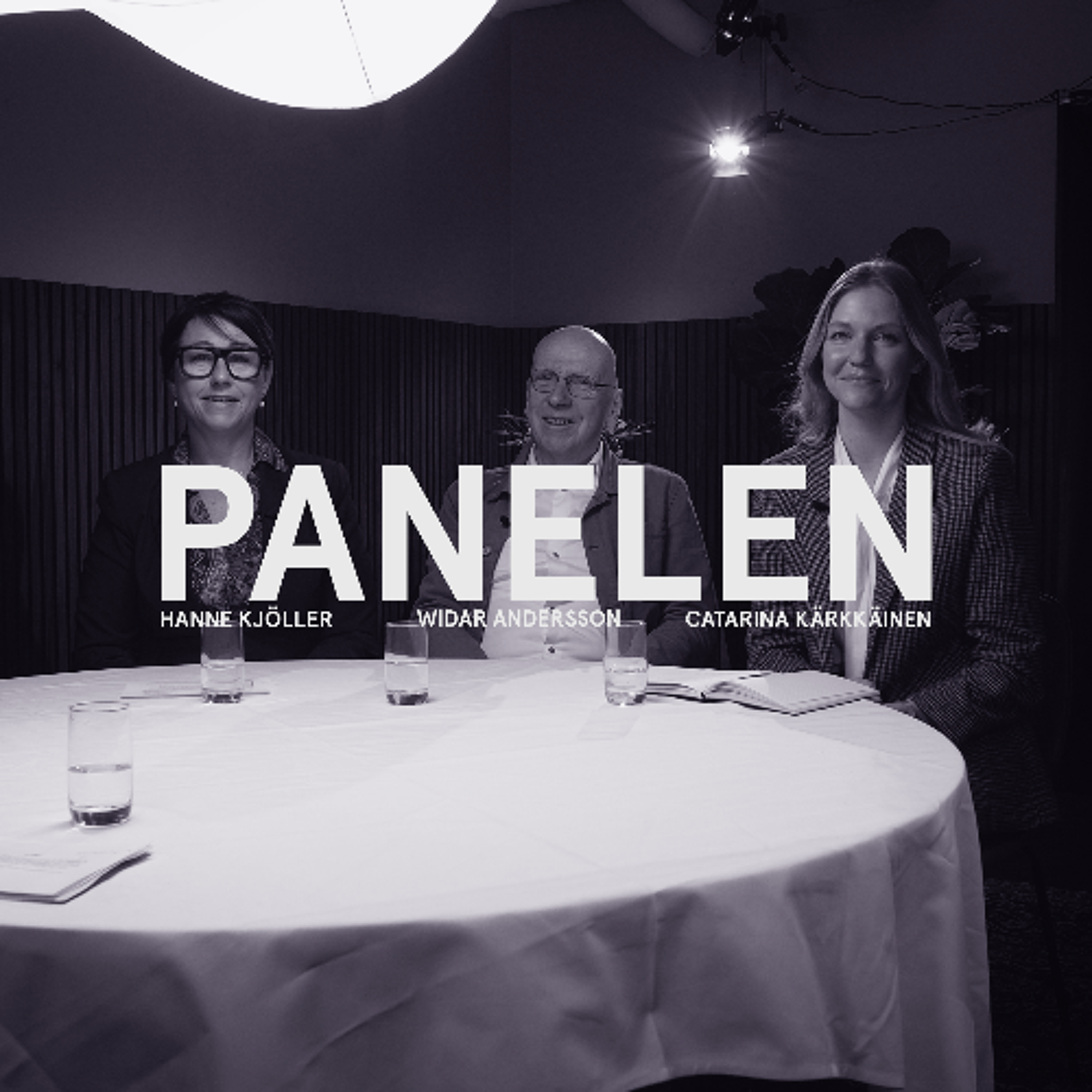 Podcastbild: 71. Panelen 2024 – Widar Andersson: De enda rebeller vi har är Sverigedemokraterna