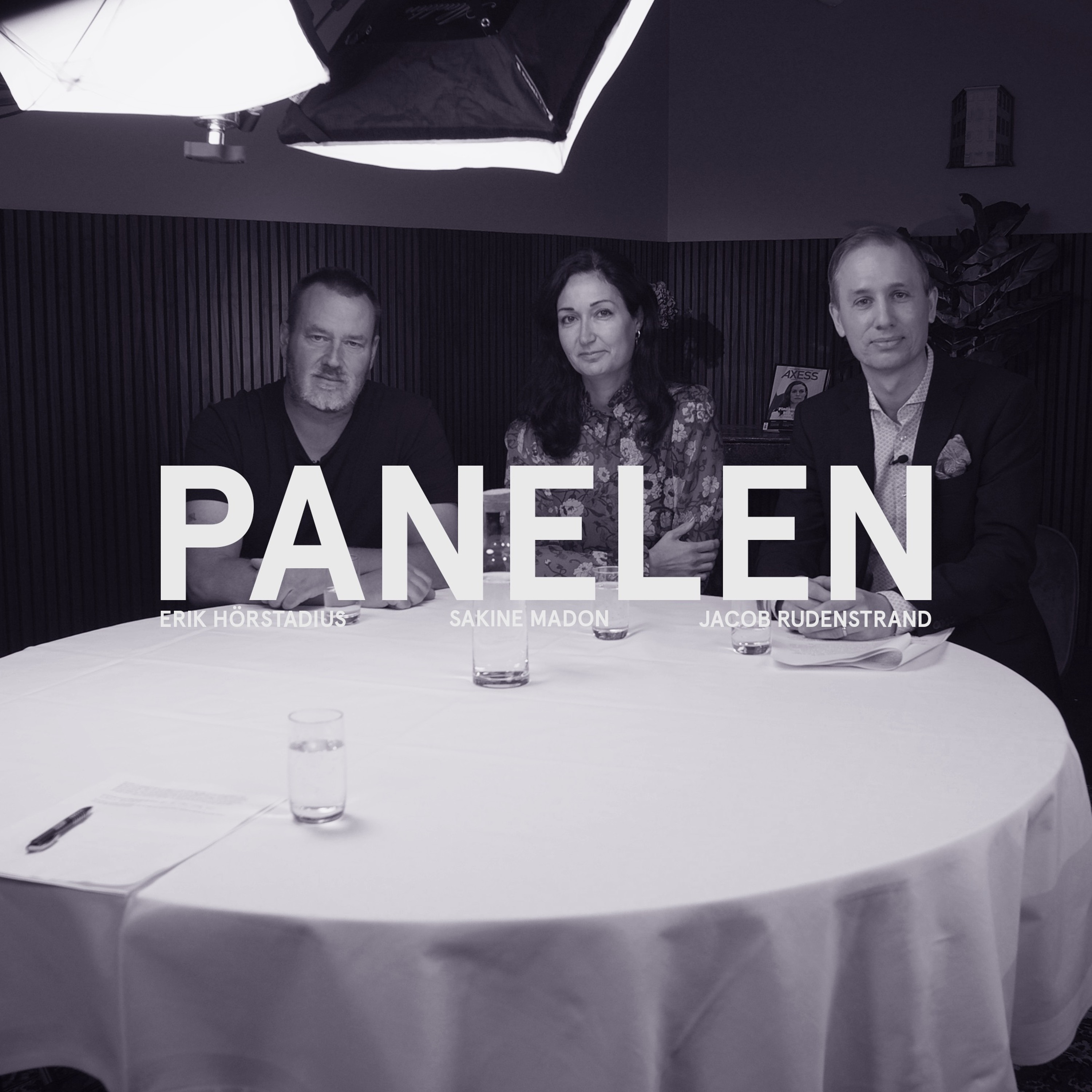 Podcastbild: 57. Panelen 2023 – Återvandring, poliskris och kampen om kulturen