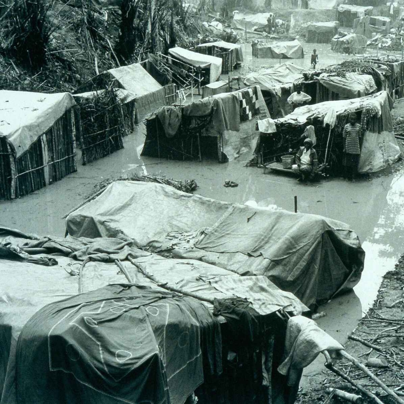 Hunting and killing Rwandan refugees in Zaire-Congo - Ep. 7: The ‘Forced Flight’ report episode artwork