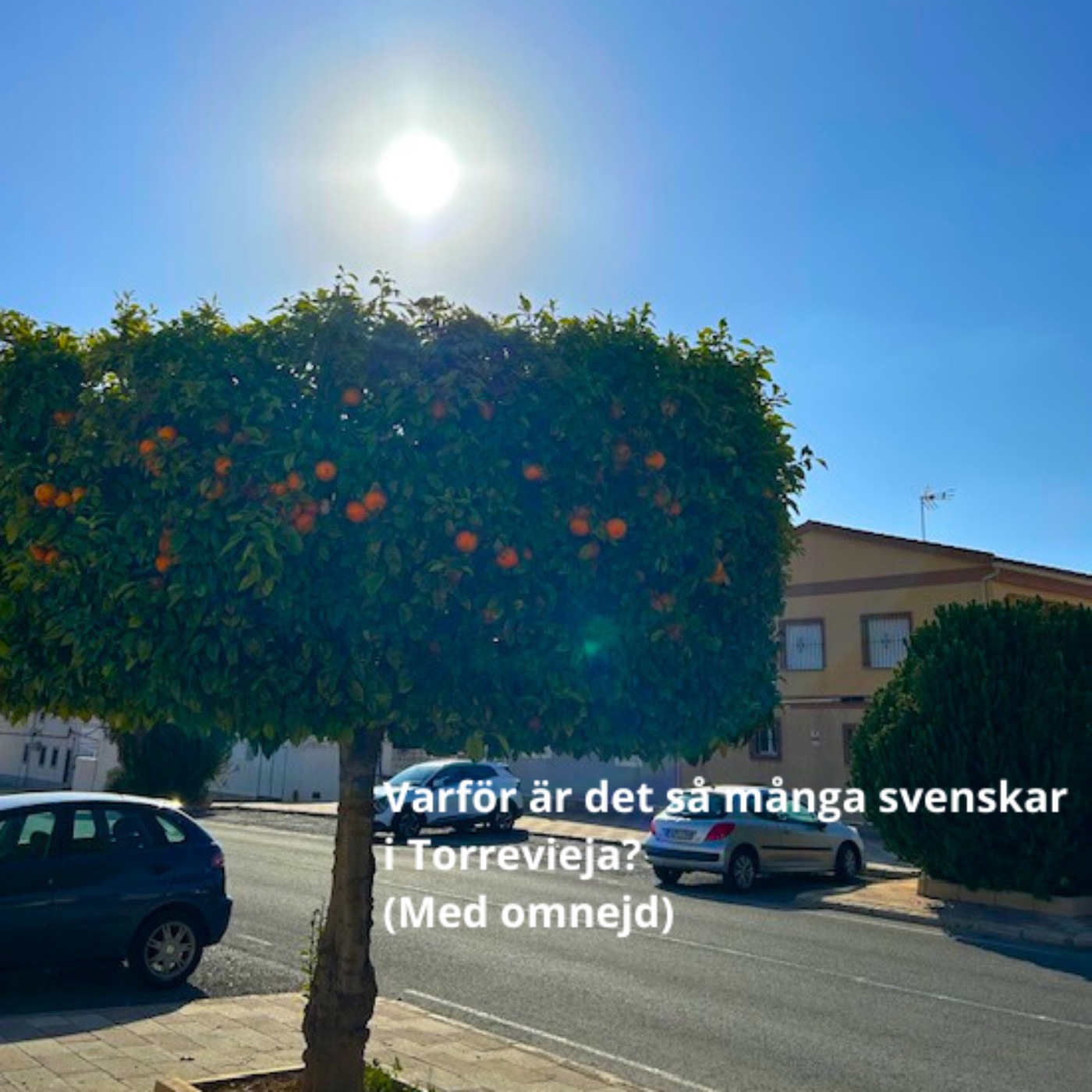 Podden Torrevieja podcast artwork