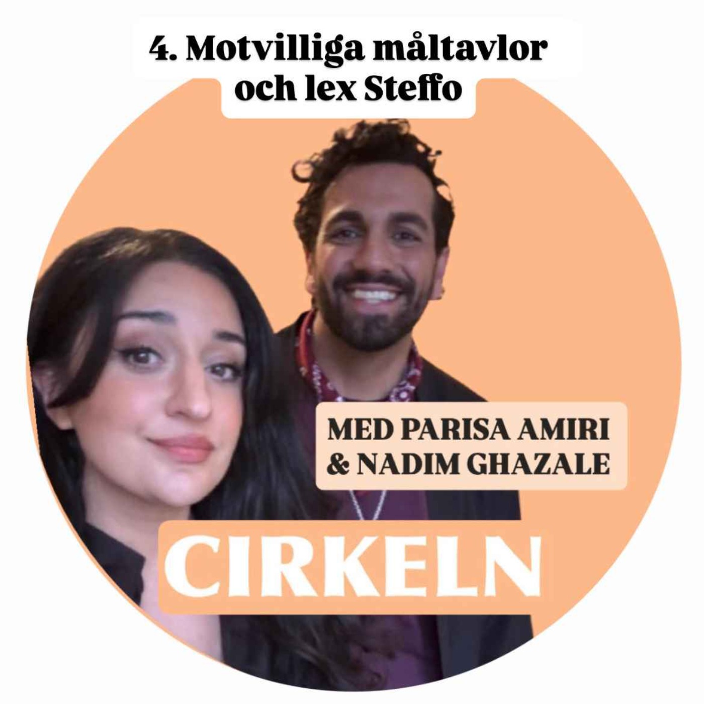 4. Motvilliga måltavlor och lex Steffo