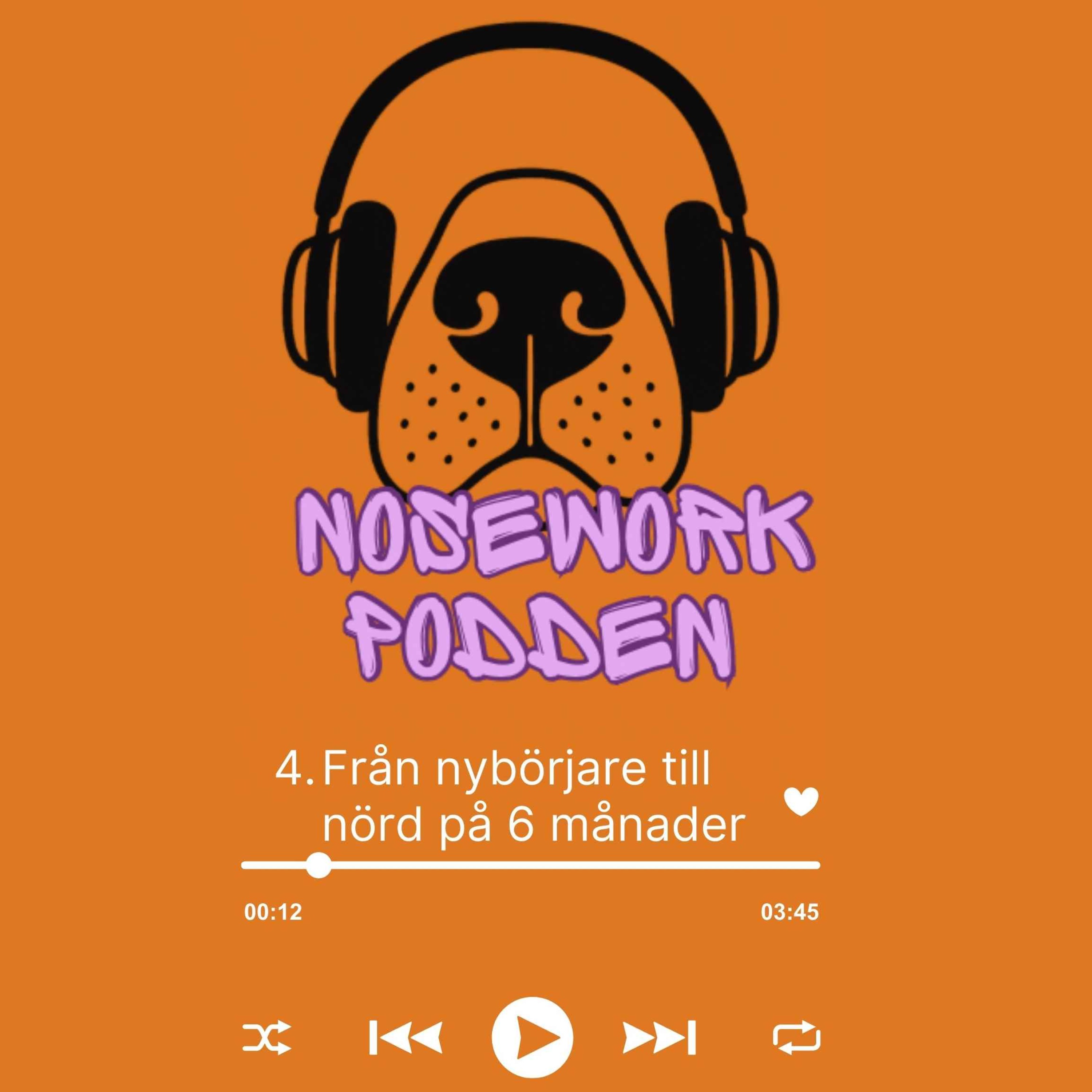 Noseworkpodden