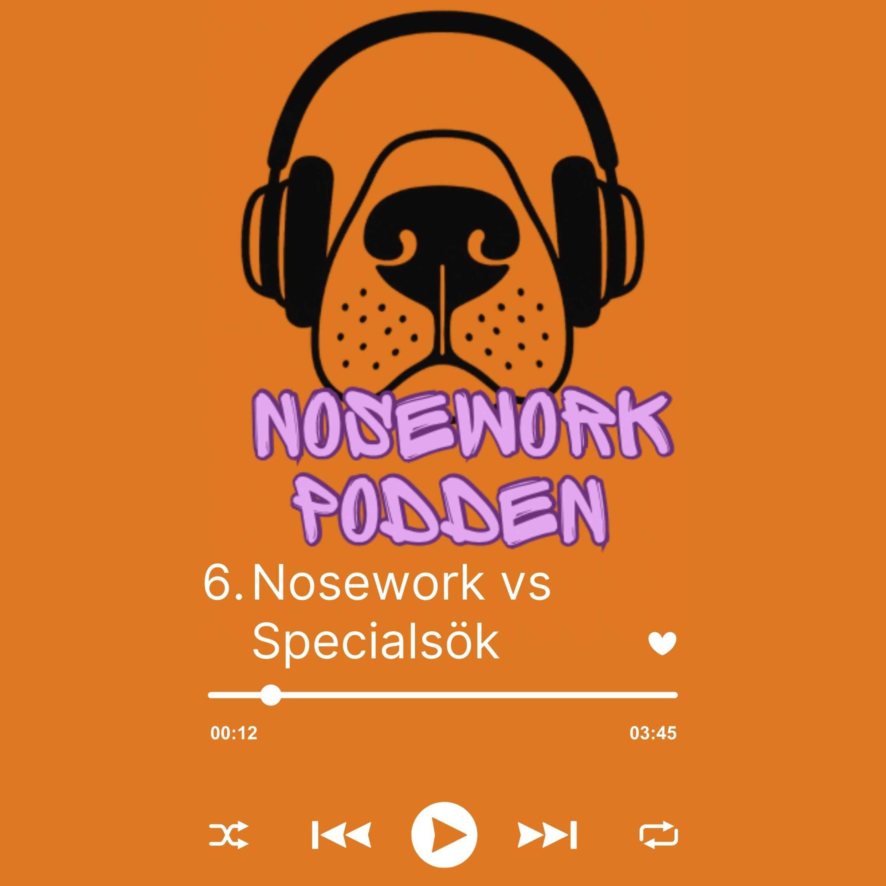 Noseworkpodden