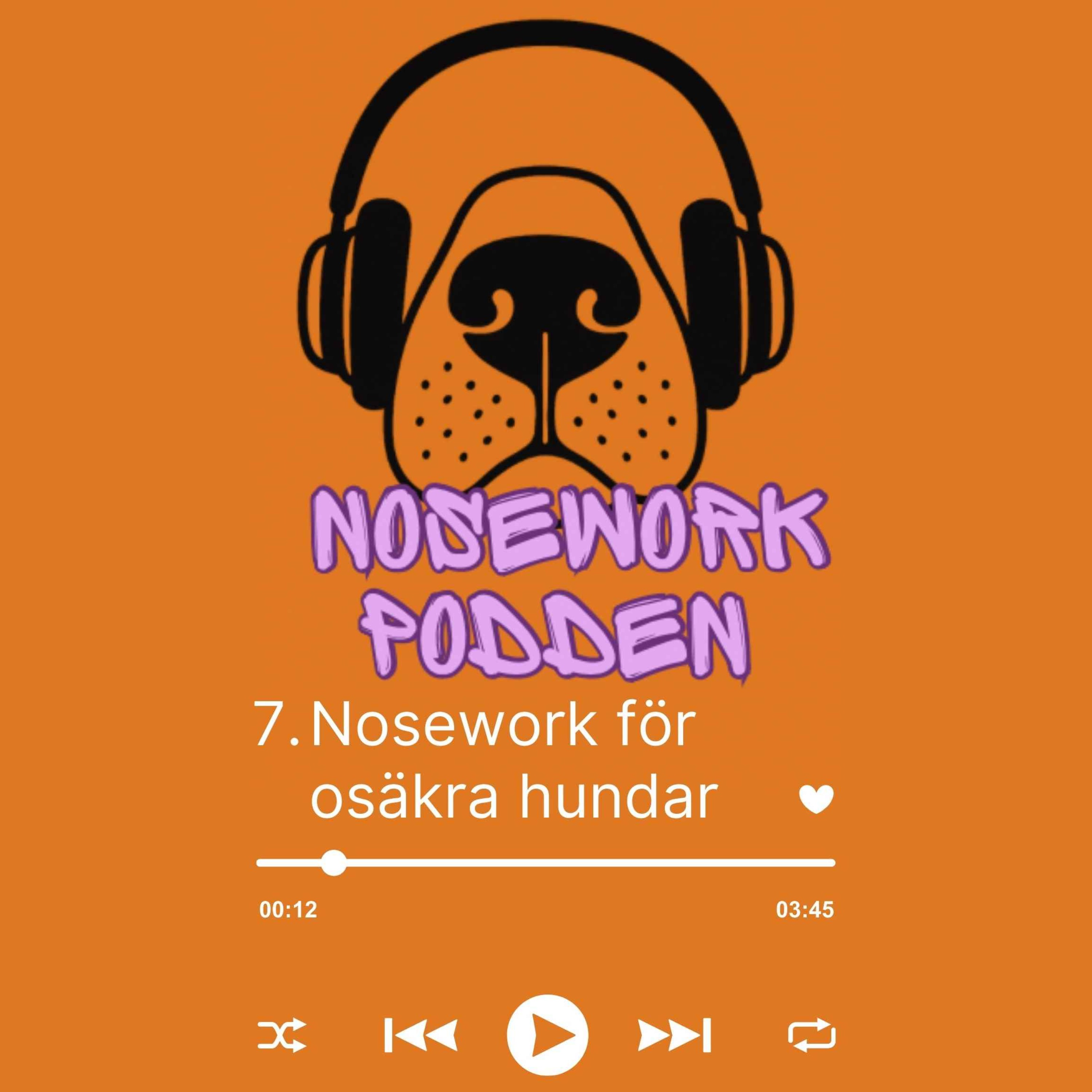 Noseworkpodden