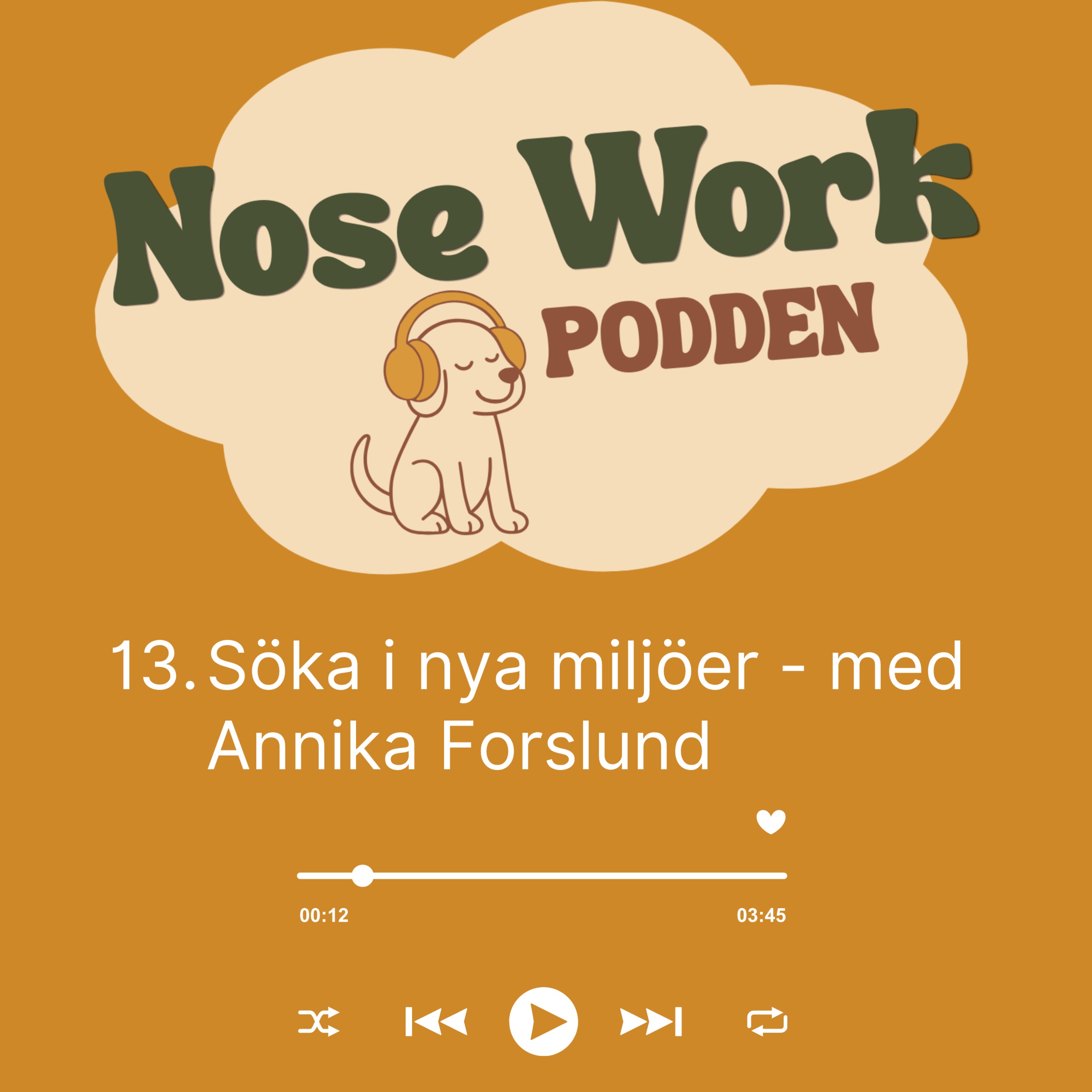13. Söka i nya miljöer - med Annika Forslund episode artwork