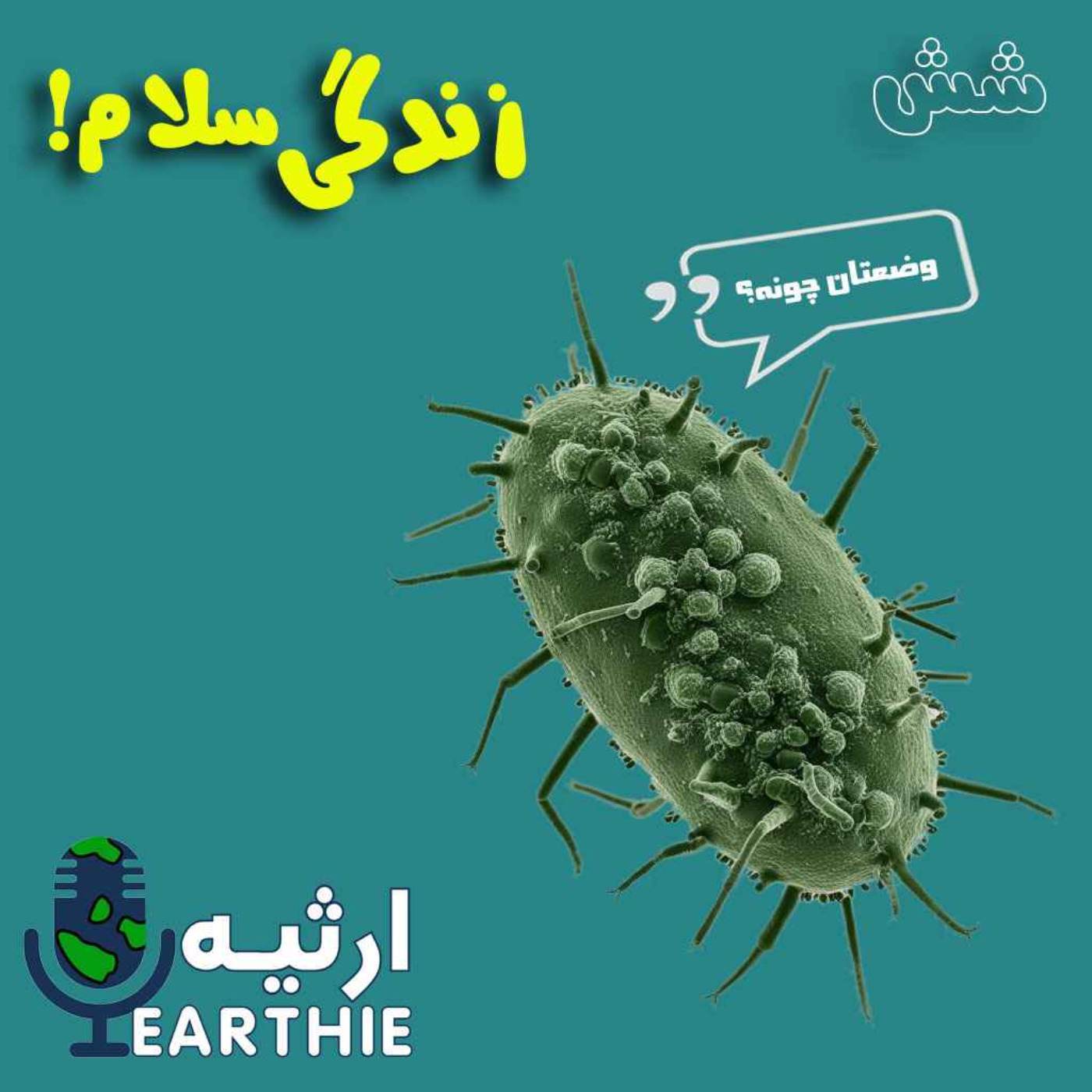 شش: ای زندگی سلام episode artwork