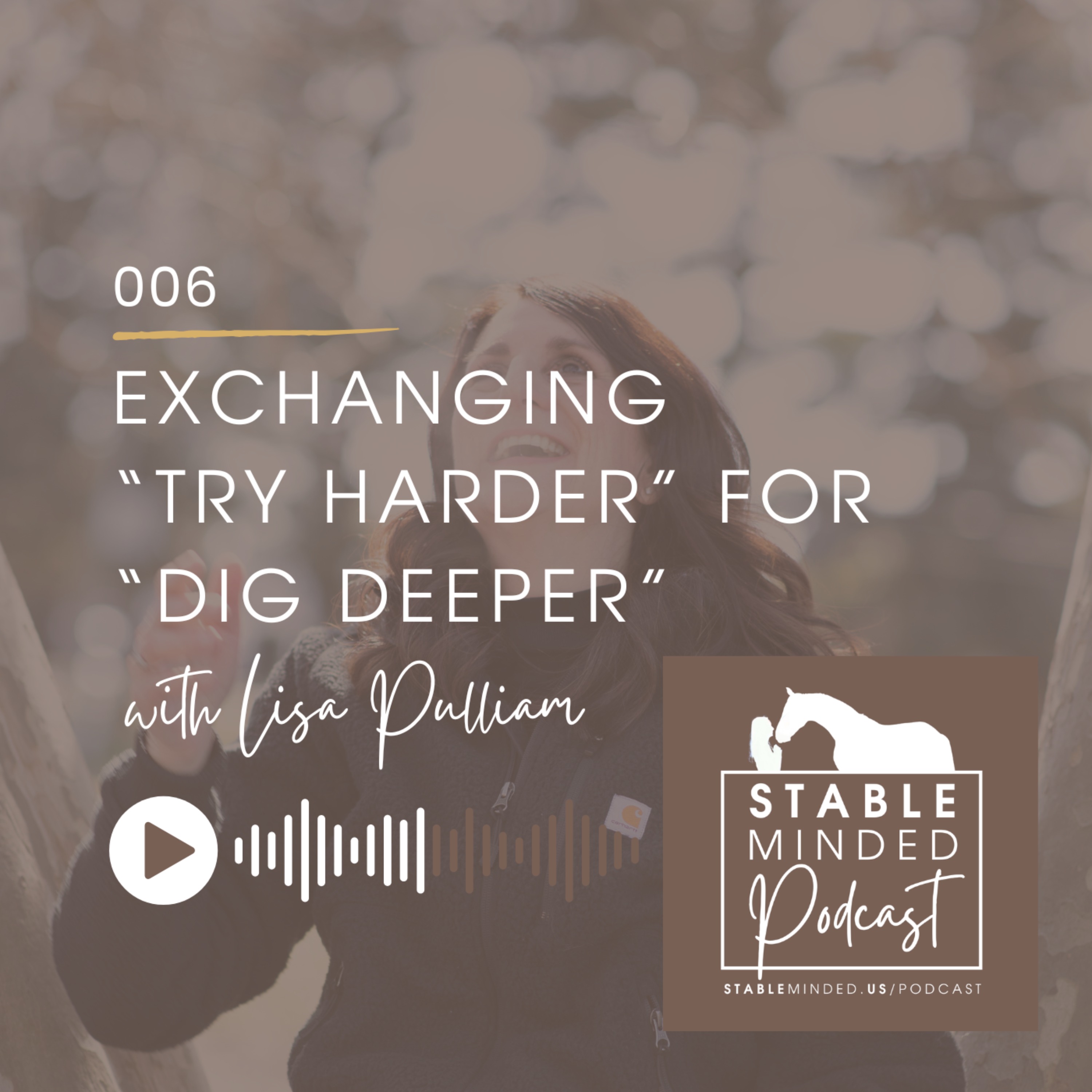 StableMinded Podcast with Lisa Pulliam
