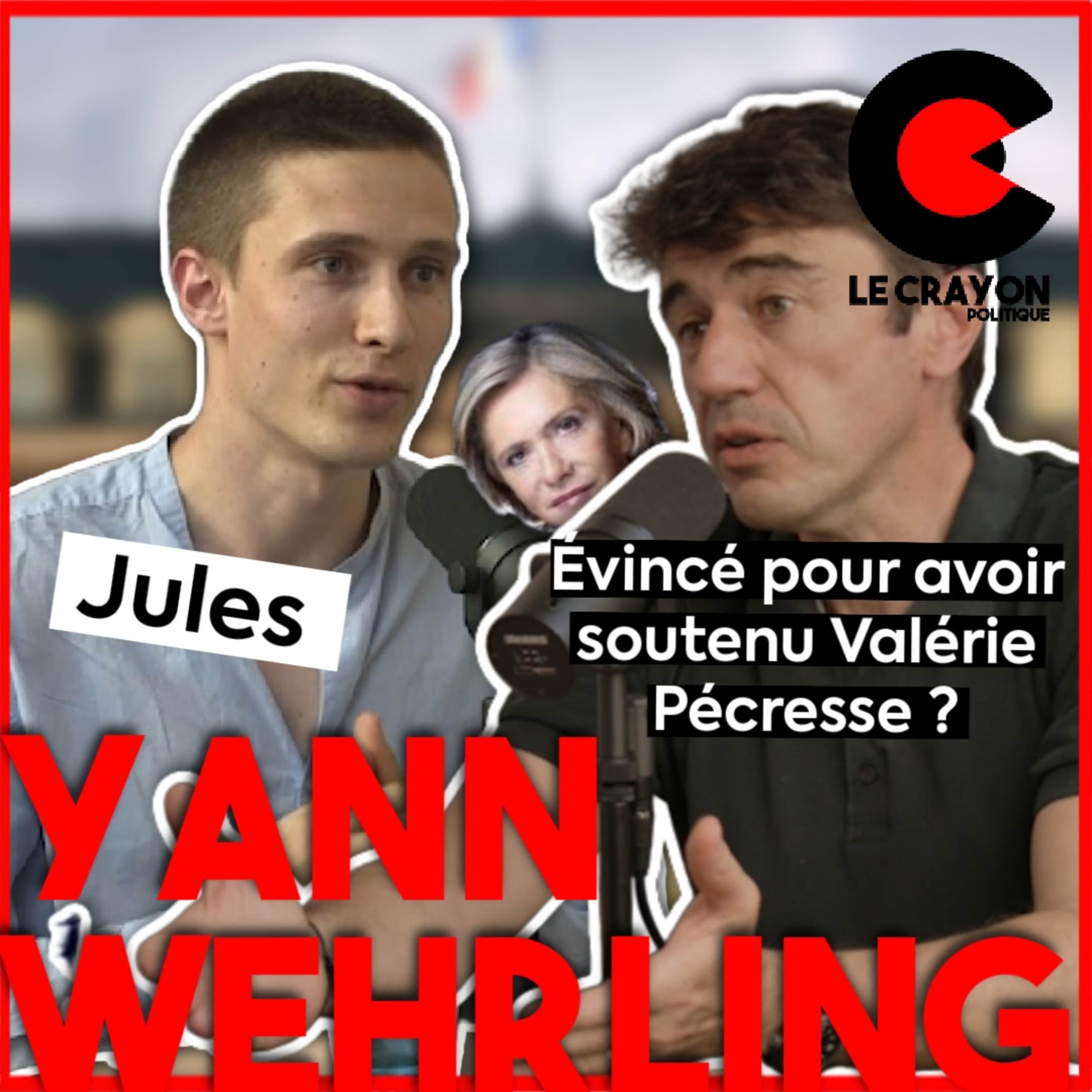 LES ÉCOLOGISTES en politique, c'est comme UNE SECTE selon Yann Wehrling