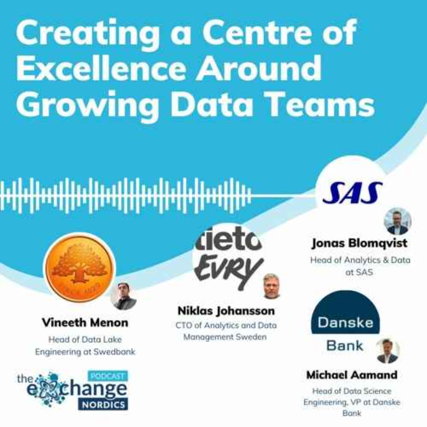 Creating A Centre Of Excellence Around Growing Data Teams episode artwork