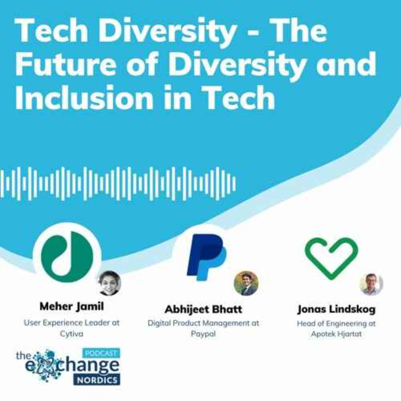 Evo #117 - Tech Diversity - The Future of Diversity and Inclusion in Tech episode artwork