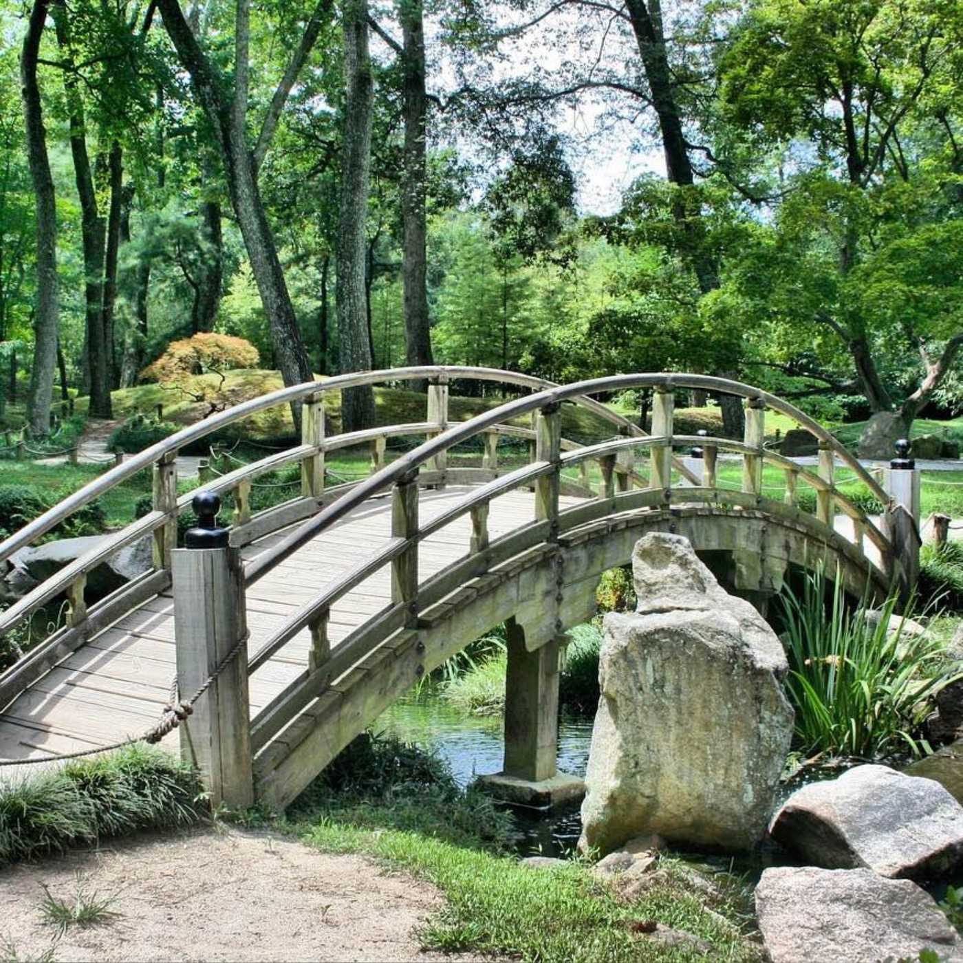Central Park episode artwork
