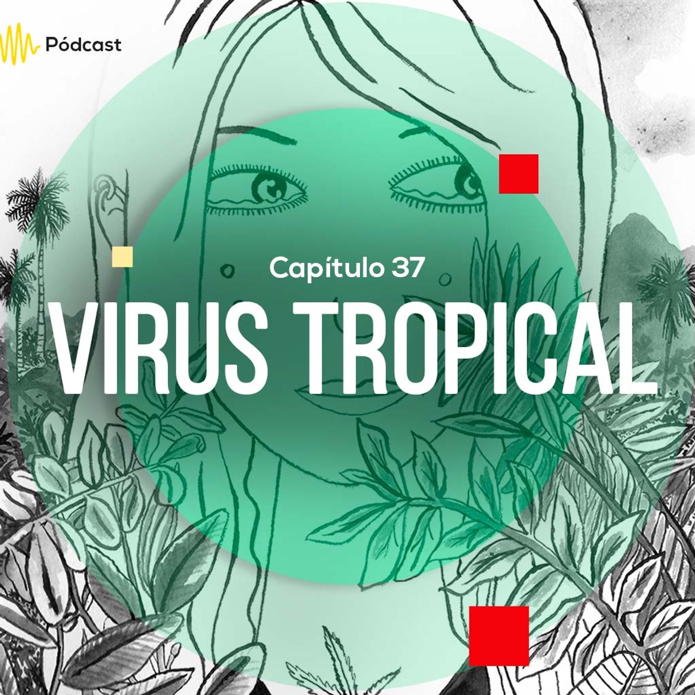 Capítulo 37: Virus tropical episode artwork