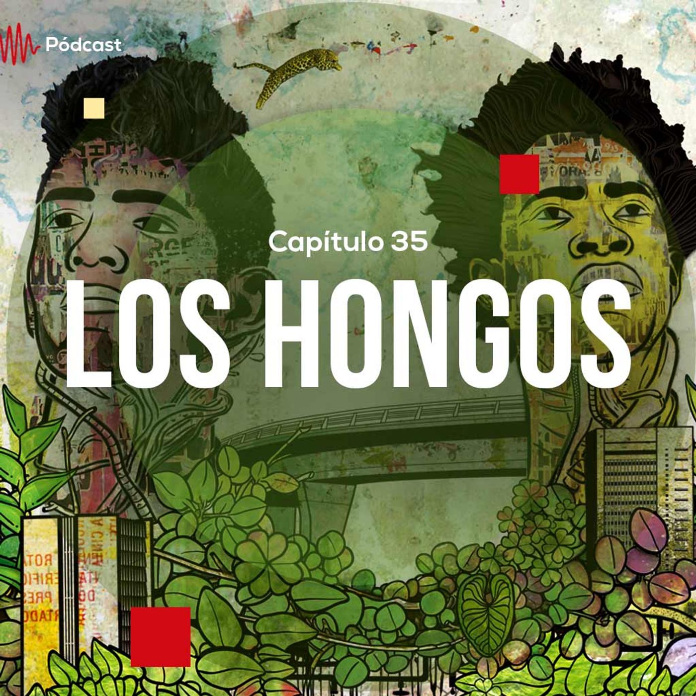 Capítulo 35: Los hongos episode artwork