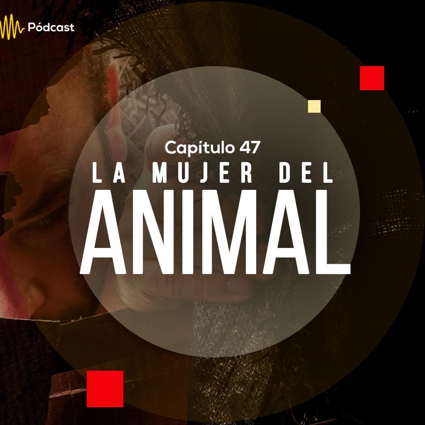 Capítulo 42: La mujer del animal