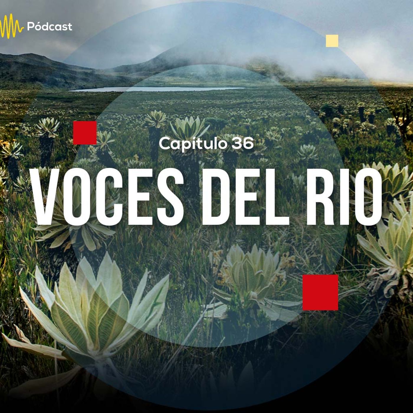 Capítulo 36: Las voces del río episode artwork
