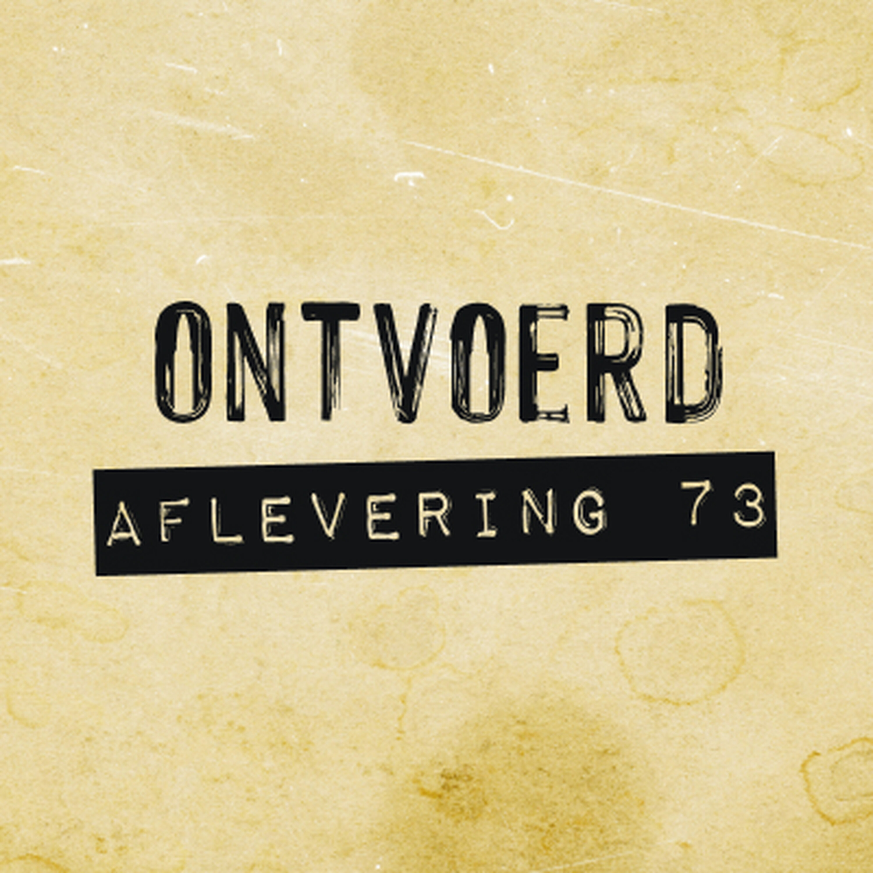 #73 | Sherri Papini | Op een lopen episode artwork