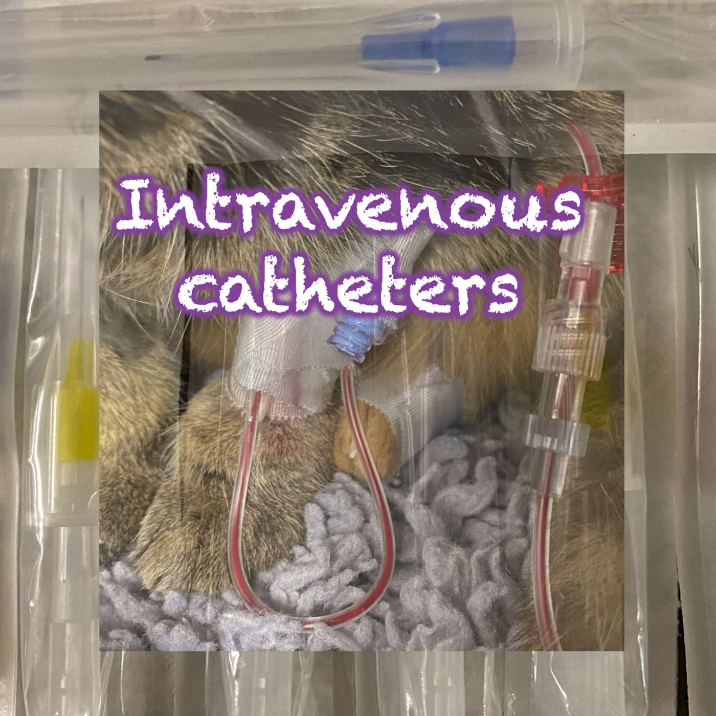150 Intravenous catheters