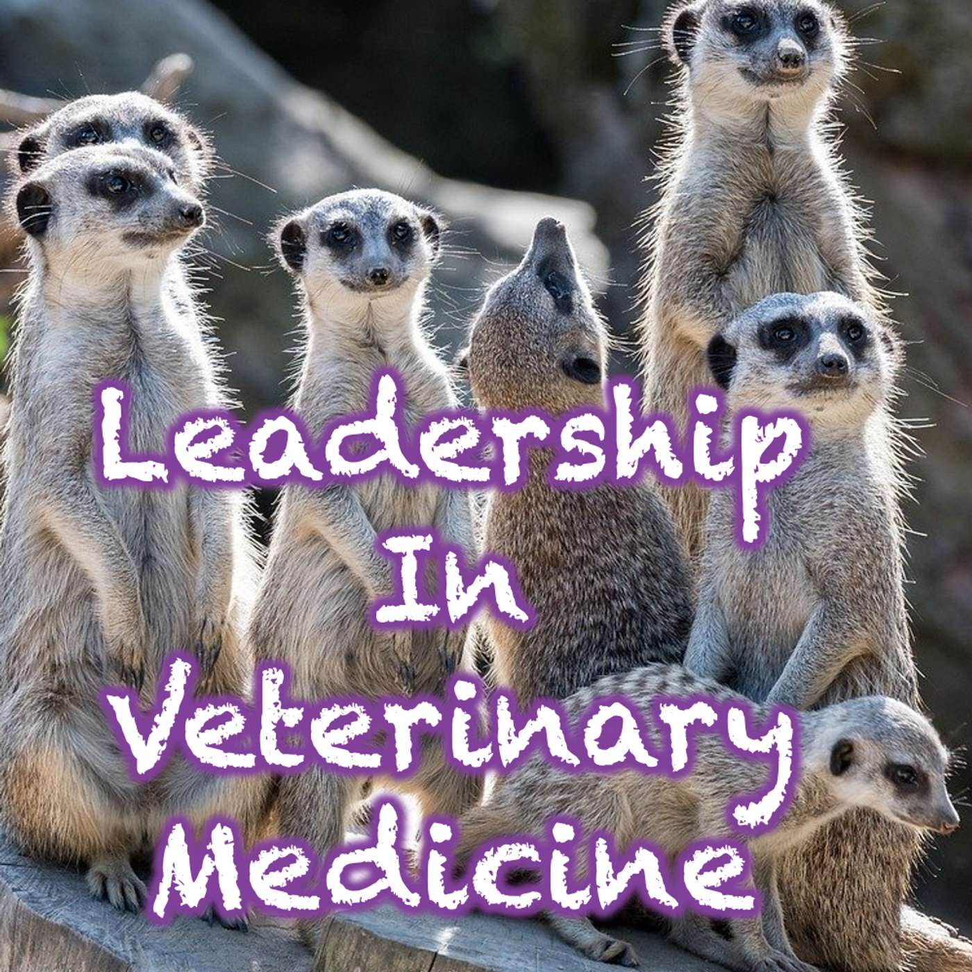 146 Leadership