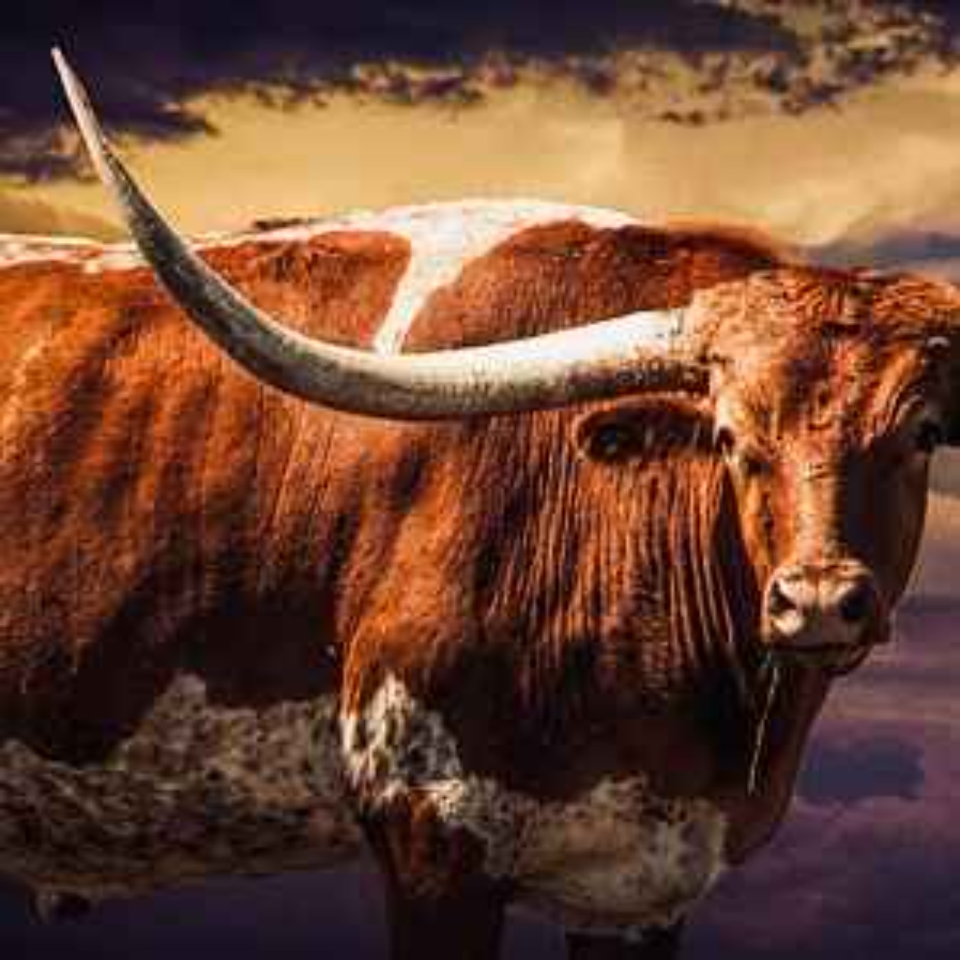 Dallas-Fort Worth FIFA 2026 World Cup Travel Preview episode artwork