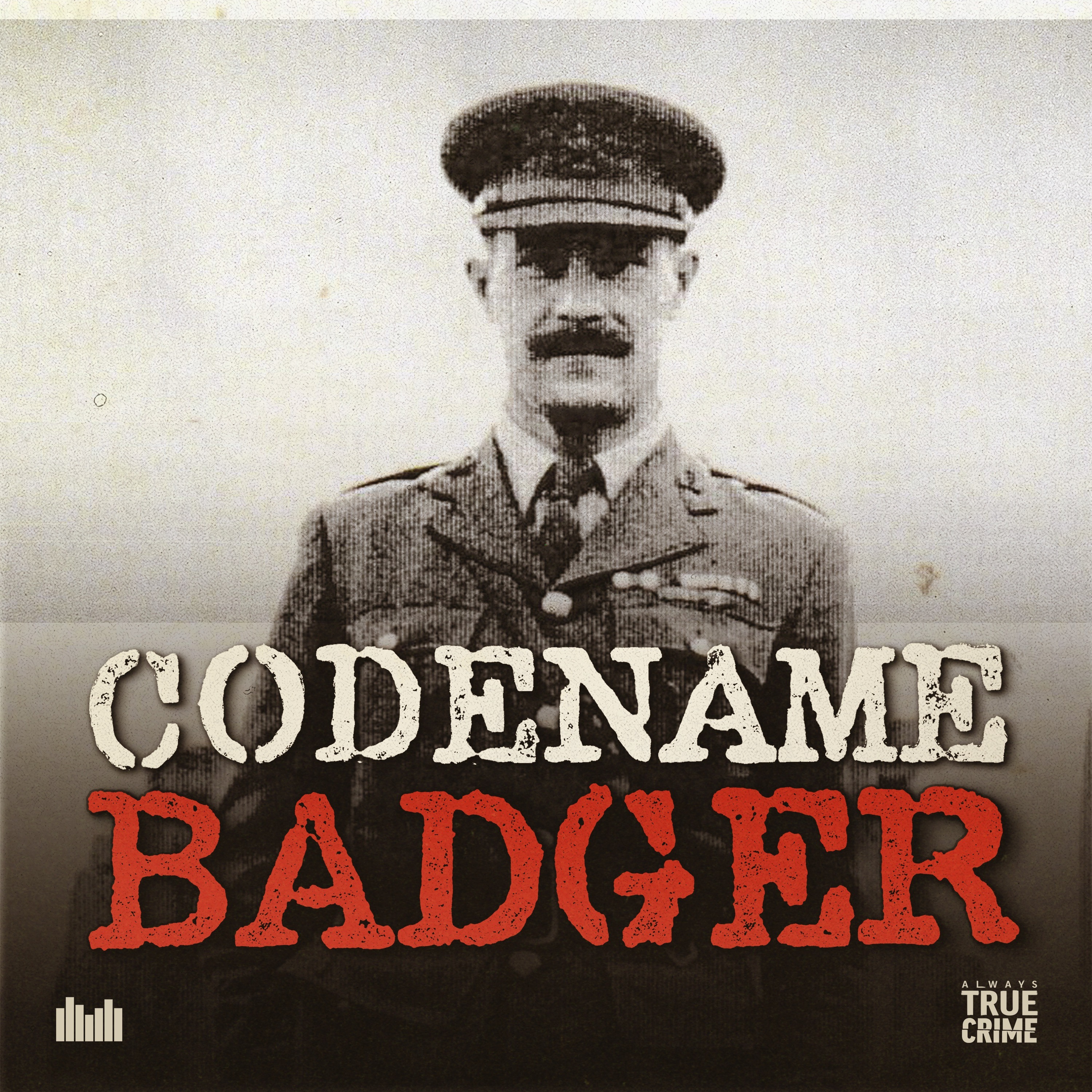 Codename Badger